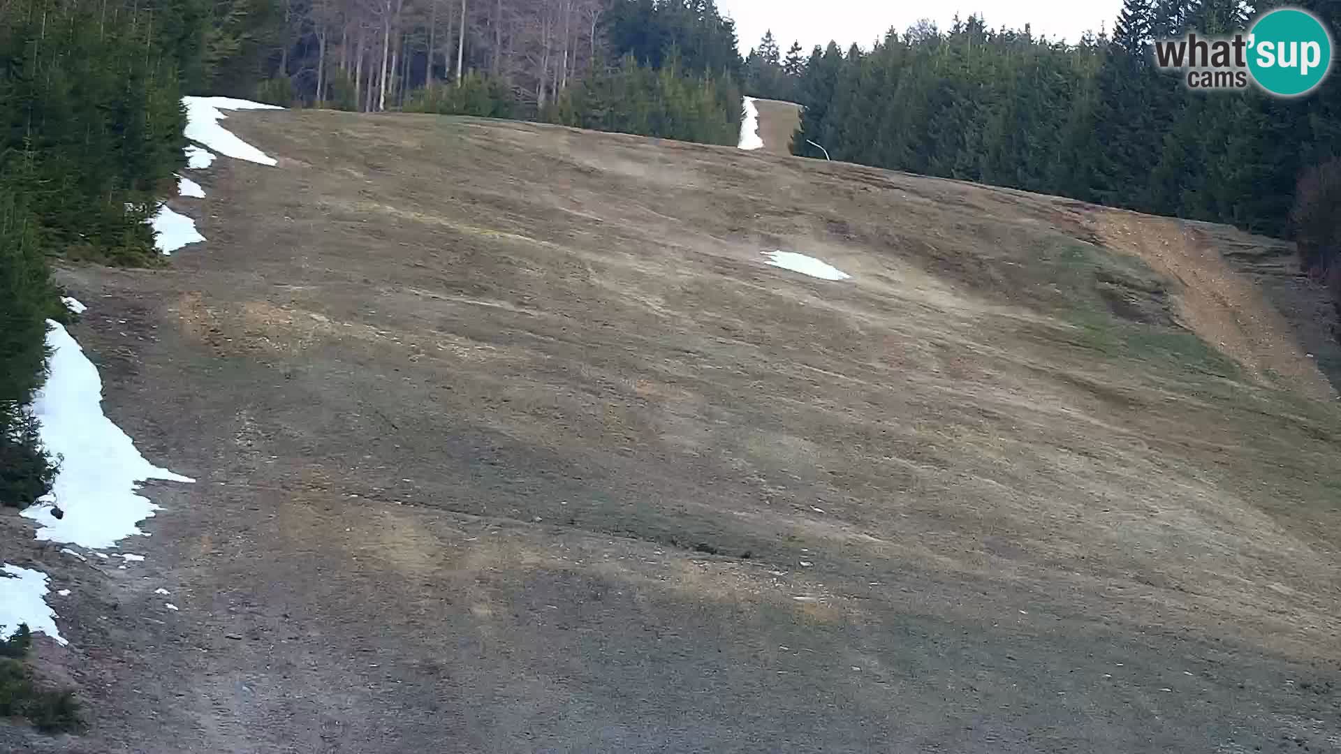 Webcam Rogla Wohnungen Dandi – Jurgovo