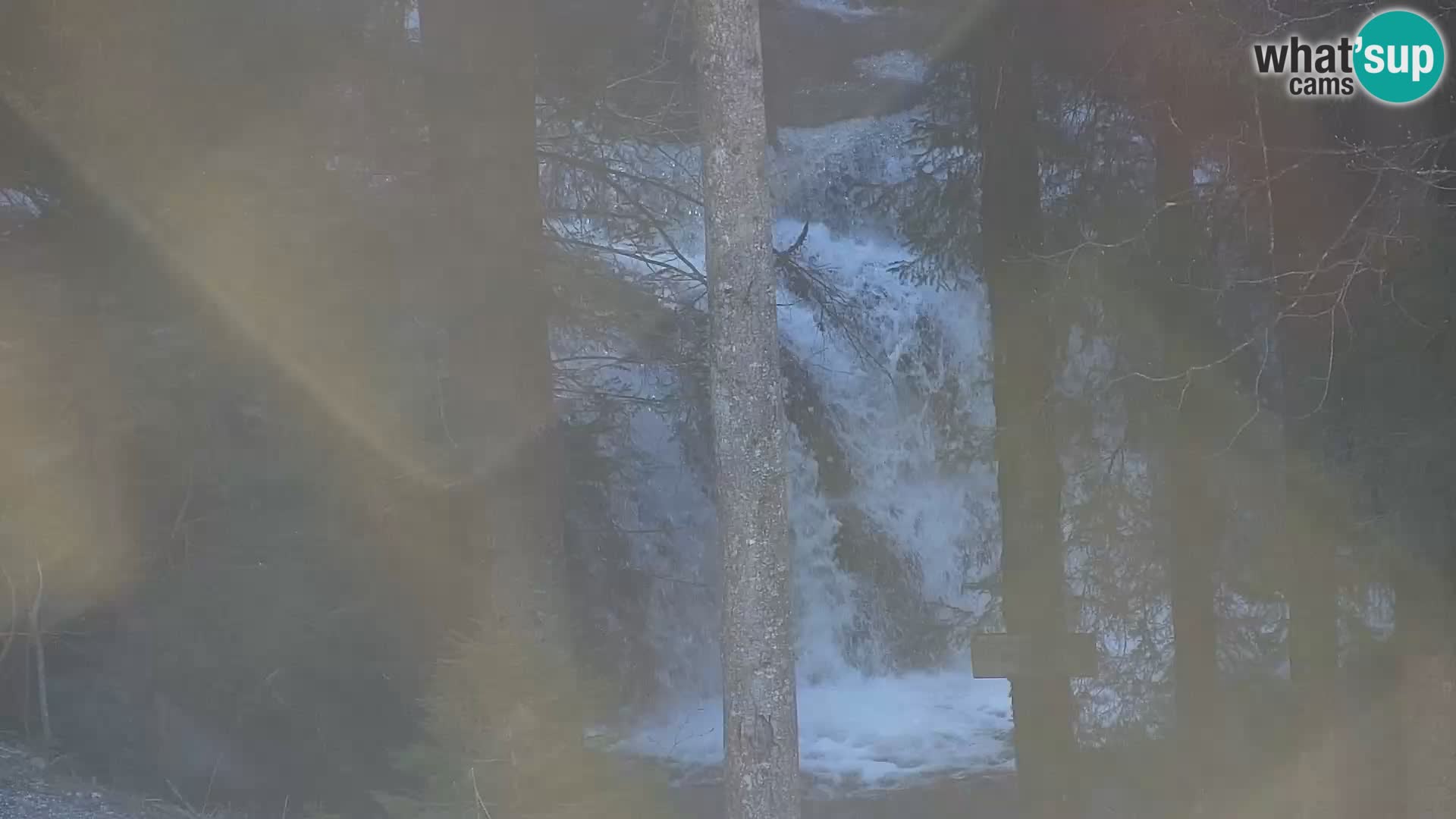 Webcam Rogla Wohnungen Dandi – Jurgovo