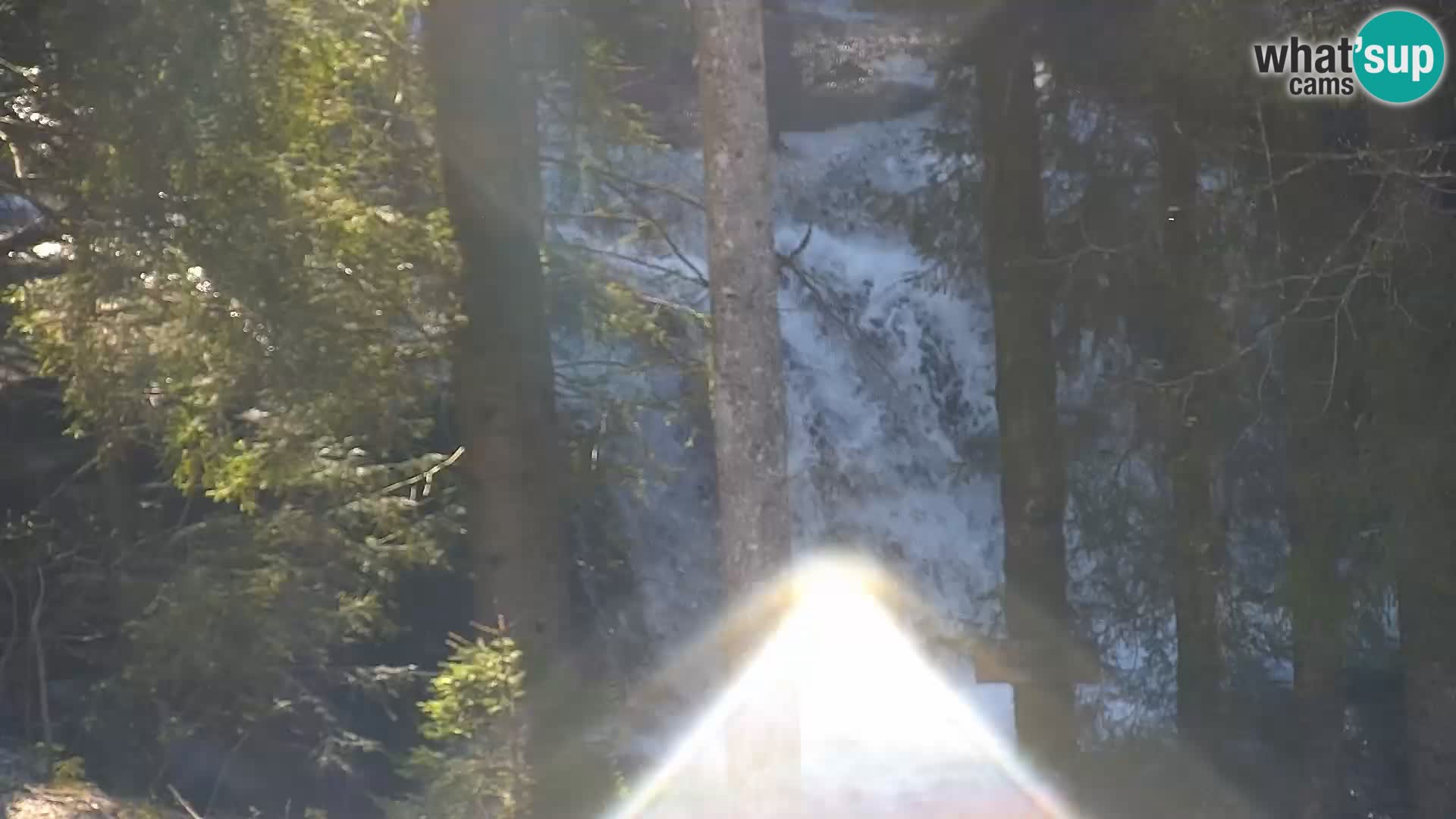 Webcam Rogla Wohnungen Dandi – Jurgovo