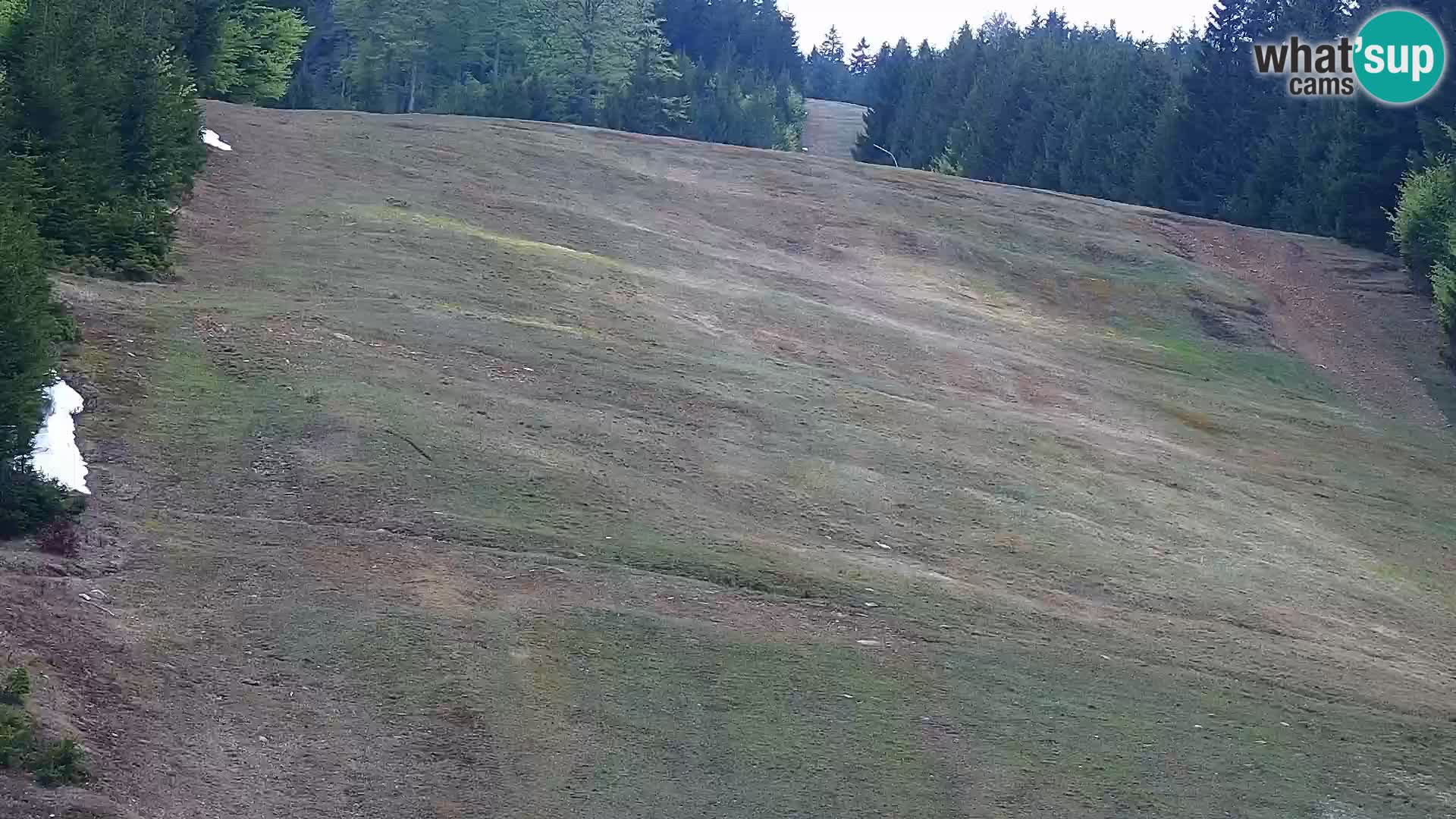Camera en vivo Rogla appartamentos Dandi – Jurgovo