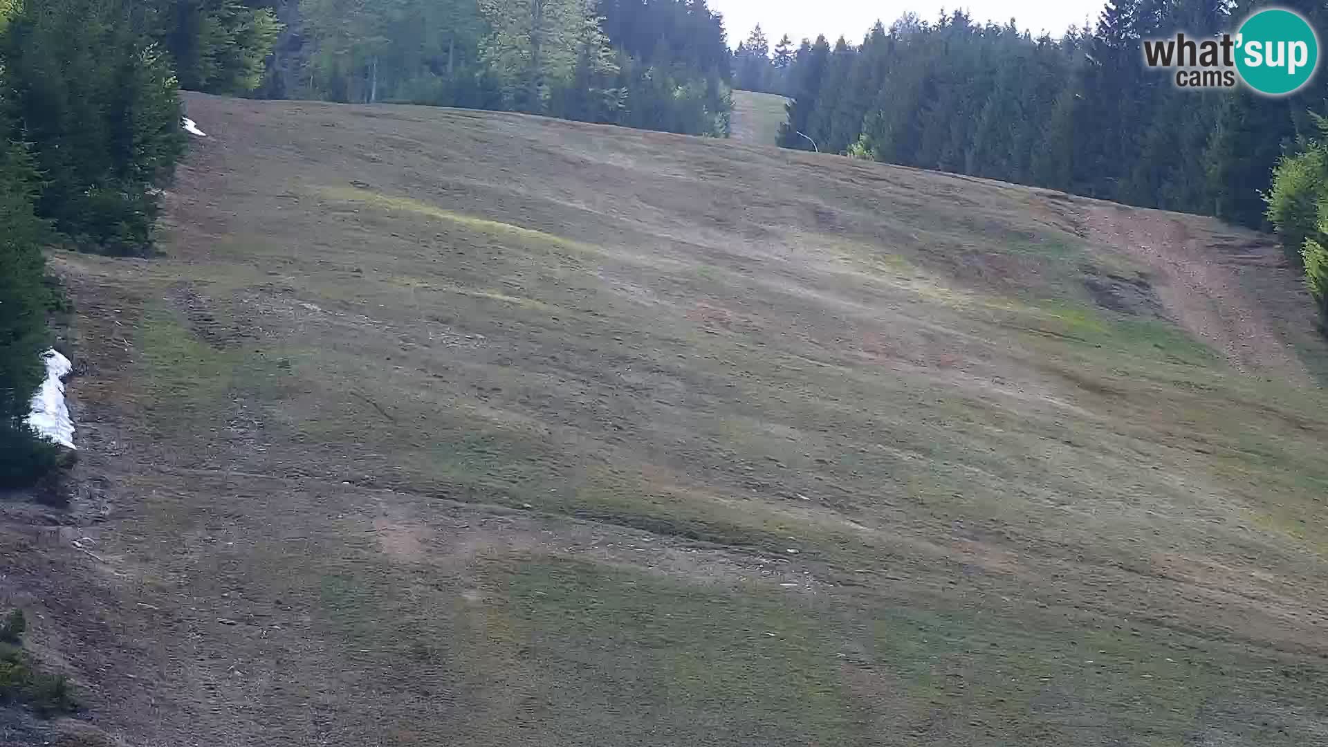 Web kamera Rogla apartmani Dandi – Jurgovo