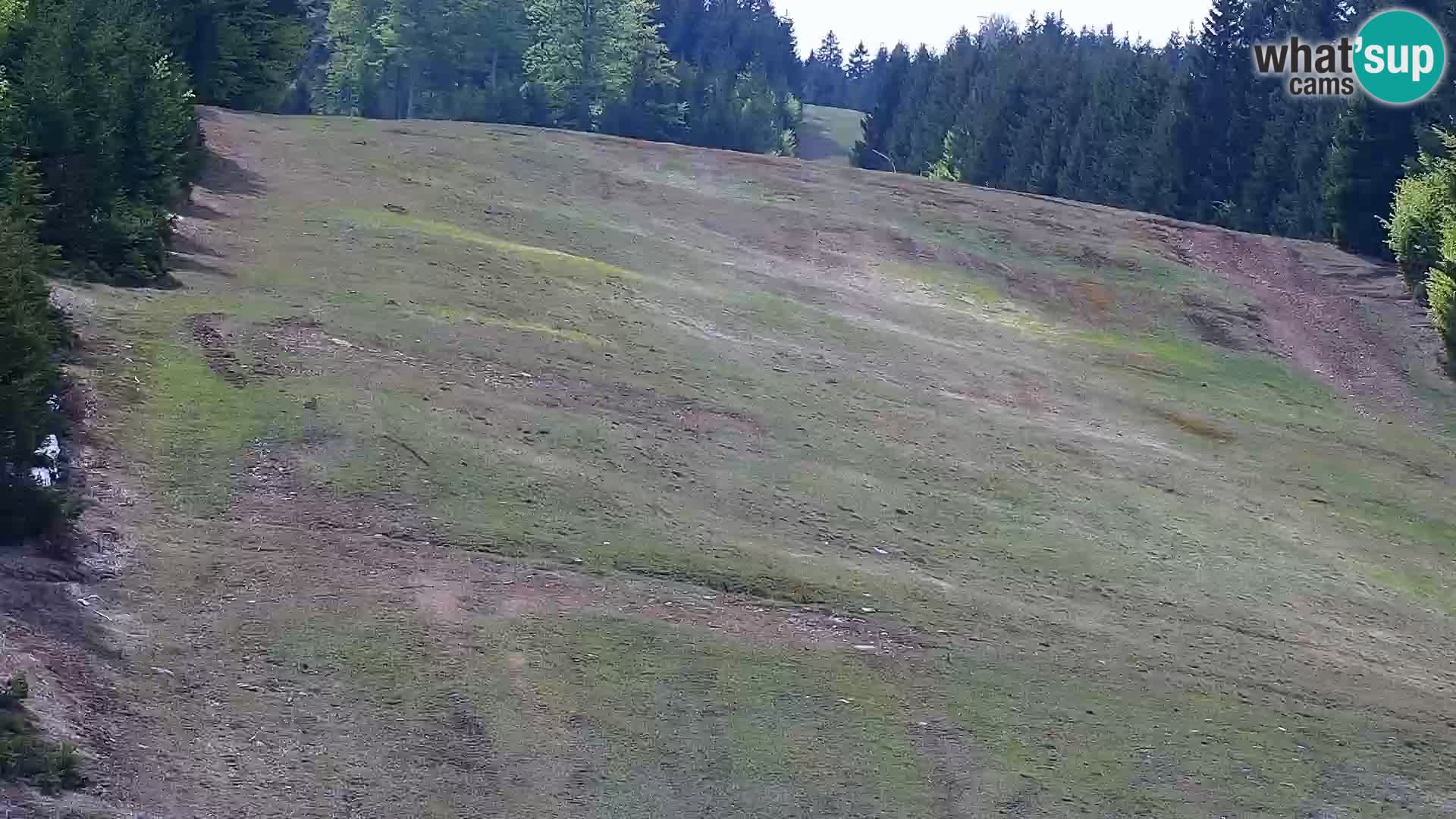 Web kamera Rogla apartmani Dandi – Jurgovo