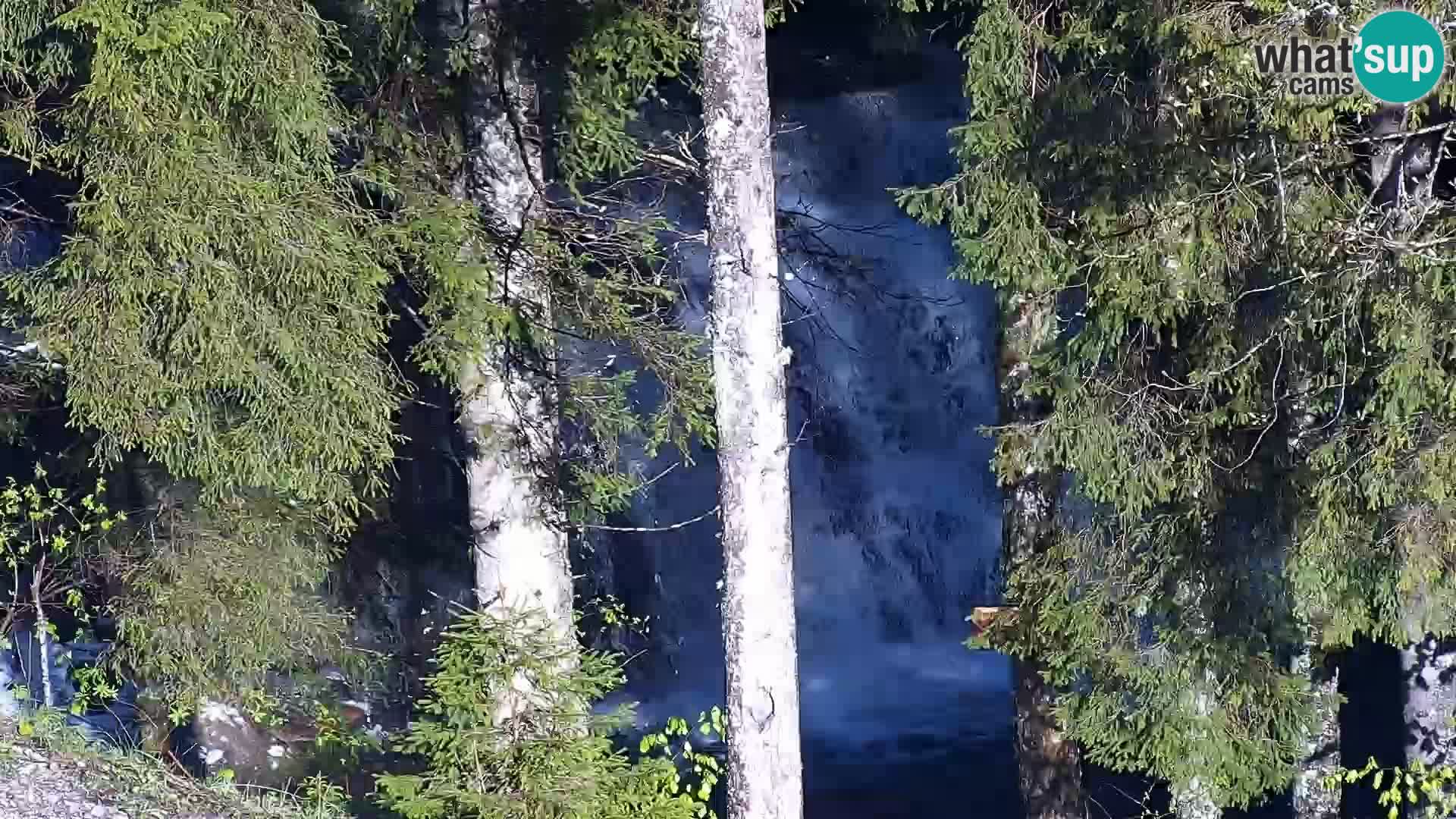 Live webcam Rogla appartamenti Dandi – Jurgovo