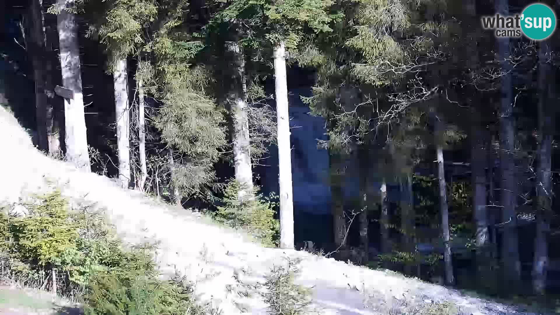 Webcam Rogla Wohnungen Dandi – Jurgovo