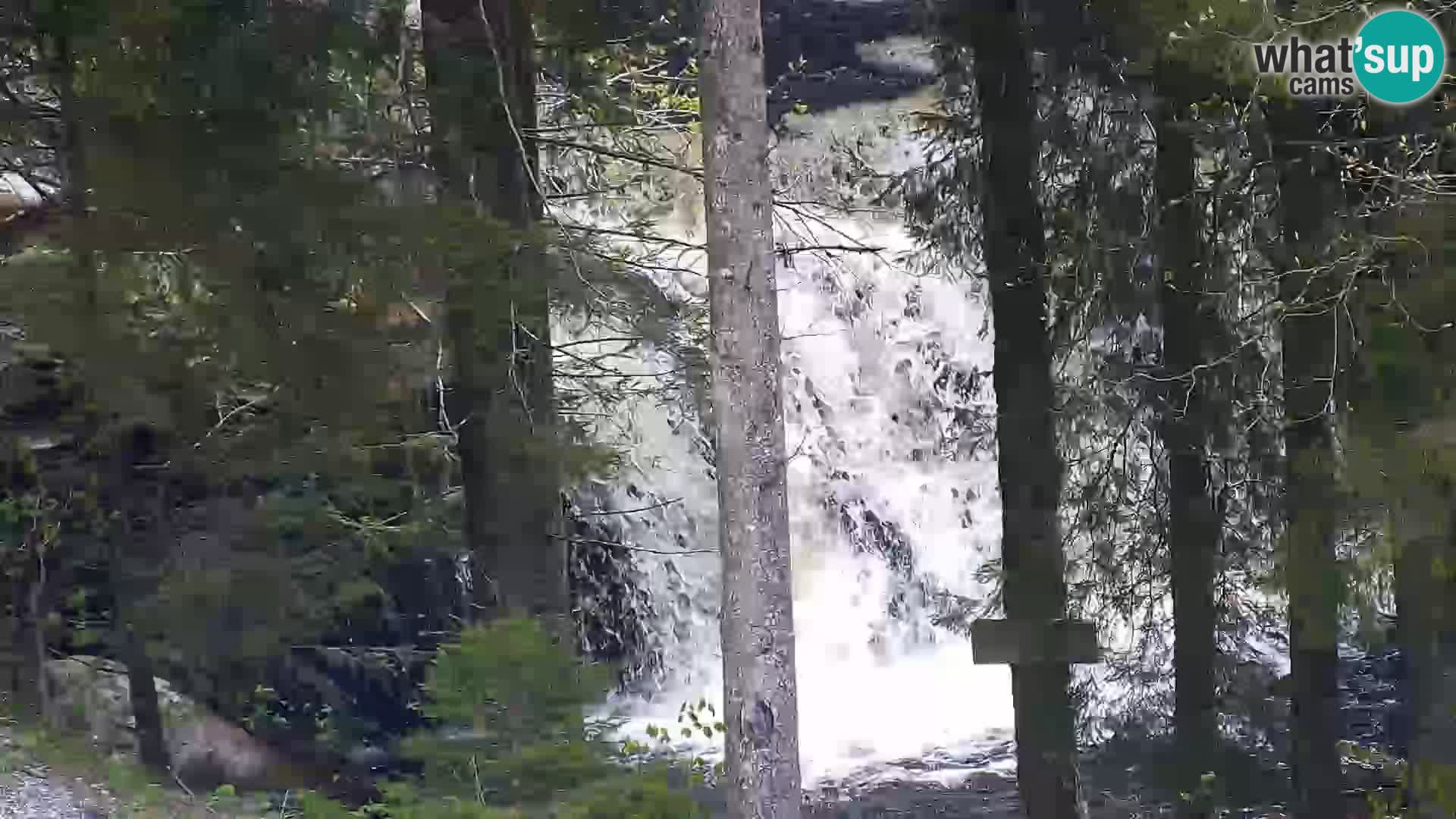 Webcam Rogla Wohnungen Dandi – Jurgovo