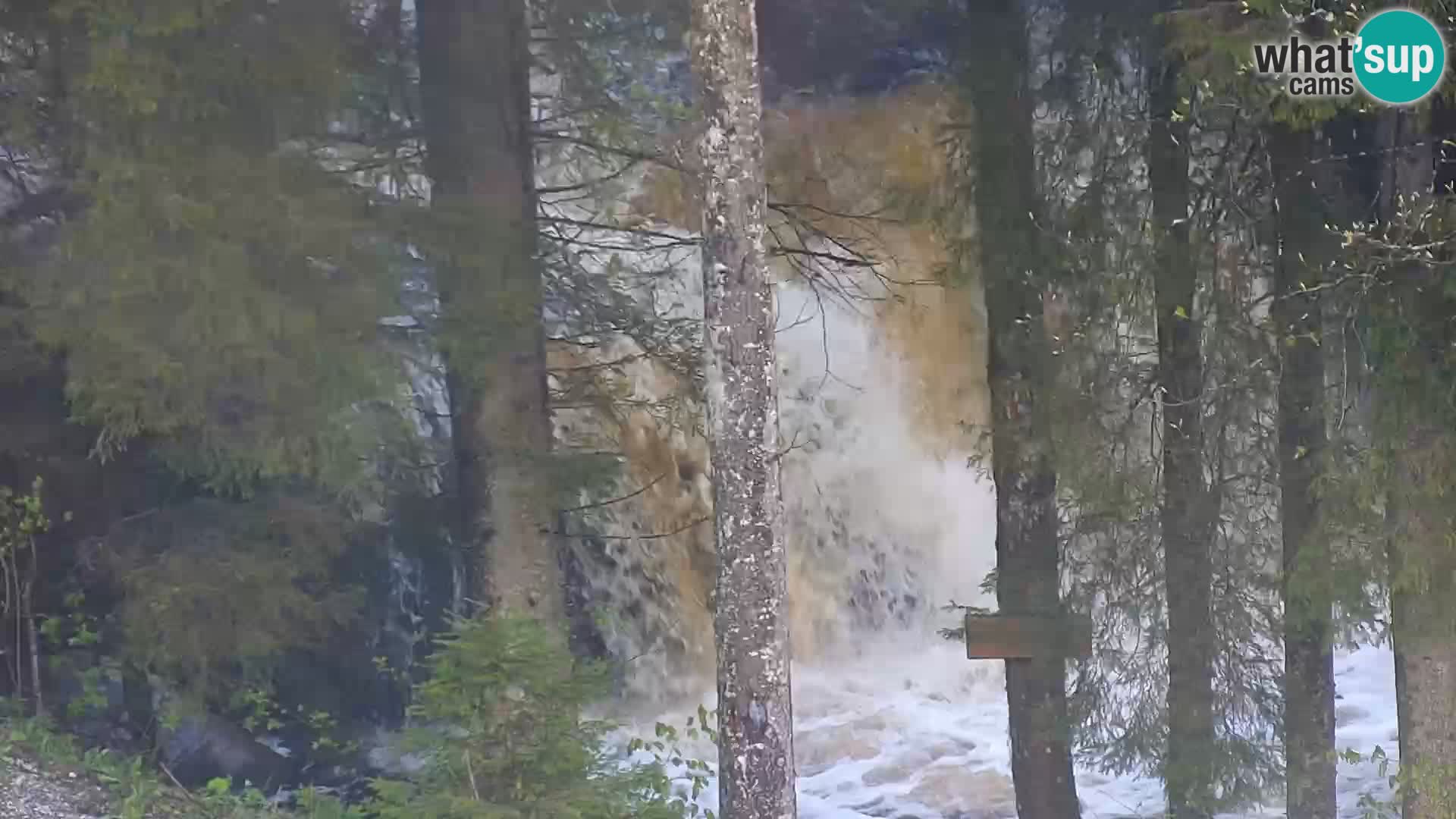 Camera en vivo Rogla appartamentos Dandi – Jurgovo