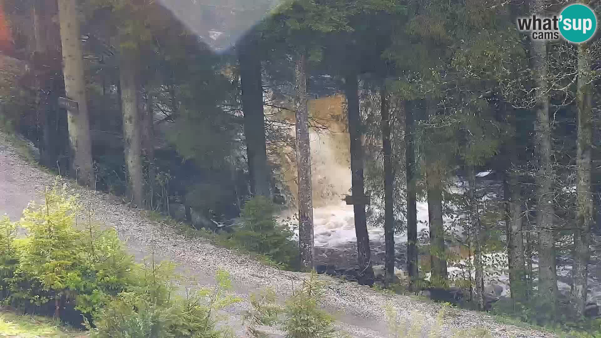 Webcam Rogla Wohnungen Dandi – Jurgovo