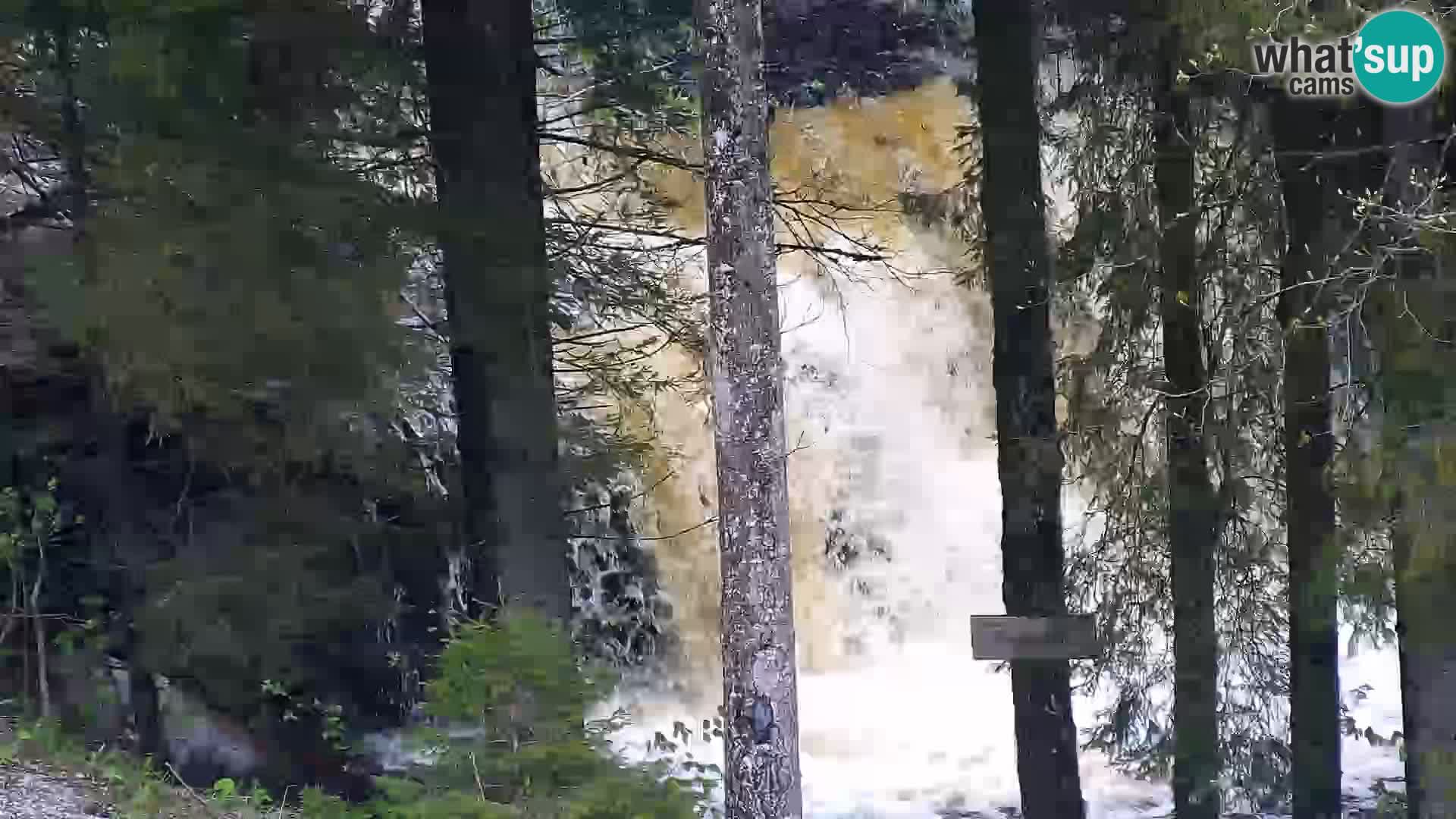Webcam Rogla Wohnungen Dandi – Jurgovo