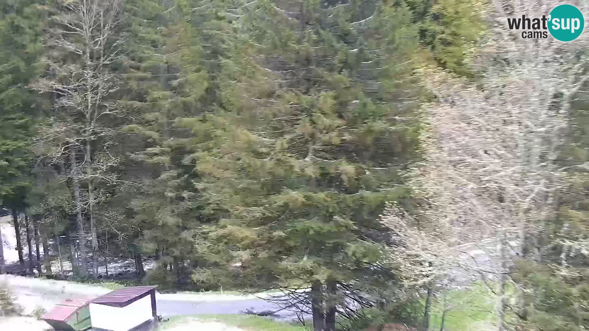 Livecam Rogla apartments Dandi – Jurgovo
