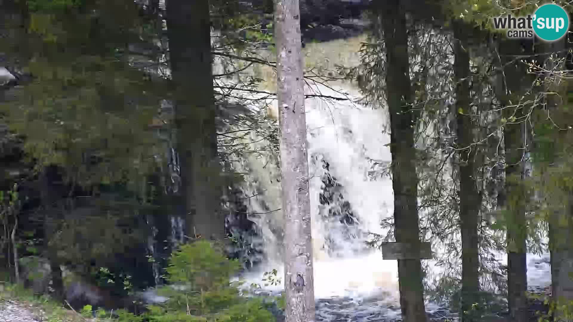 Livecam Rogla apartments Dandi – Jurgovo