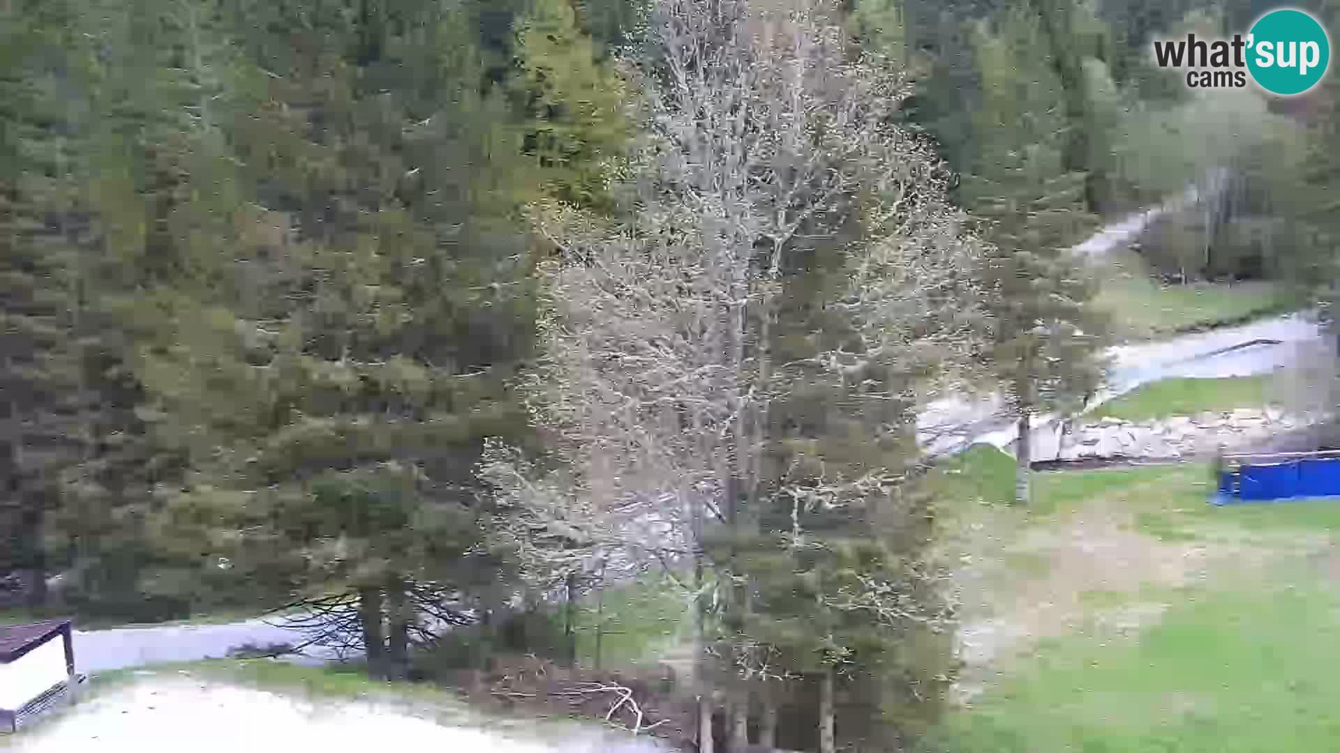 Livecam Rogla apartments Dandi – Jurgovo