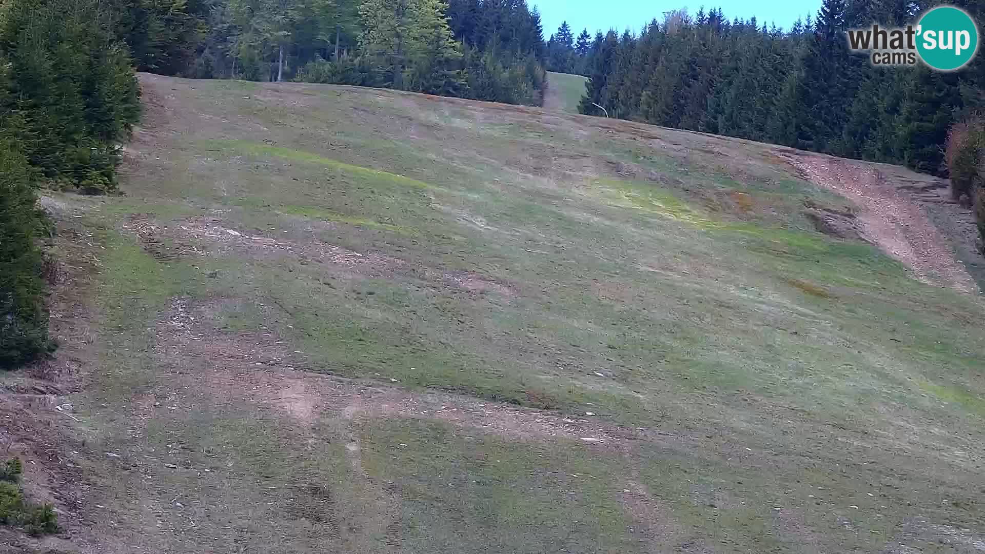 Camera en vivo Rogla appartamentos Dandi – Jurgovo