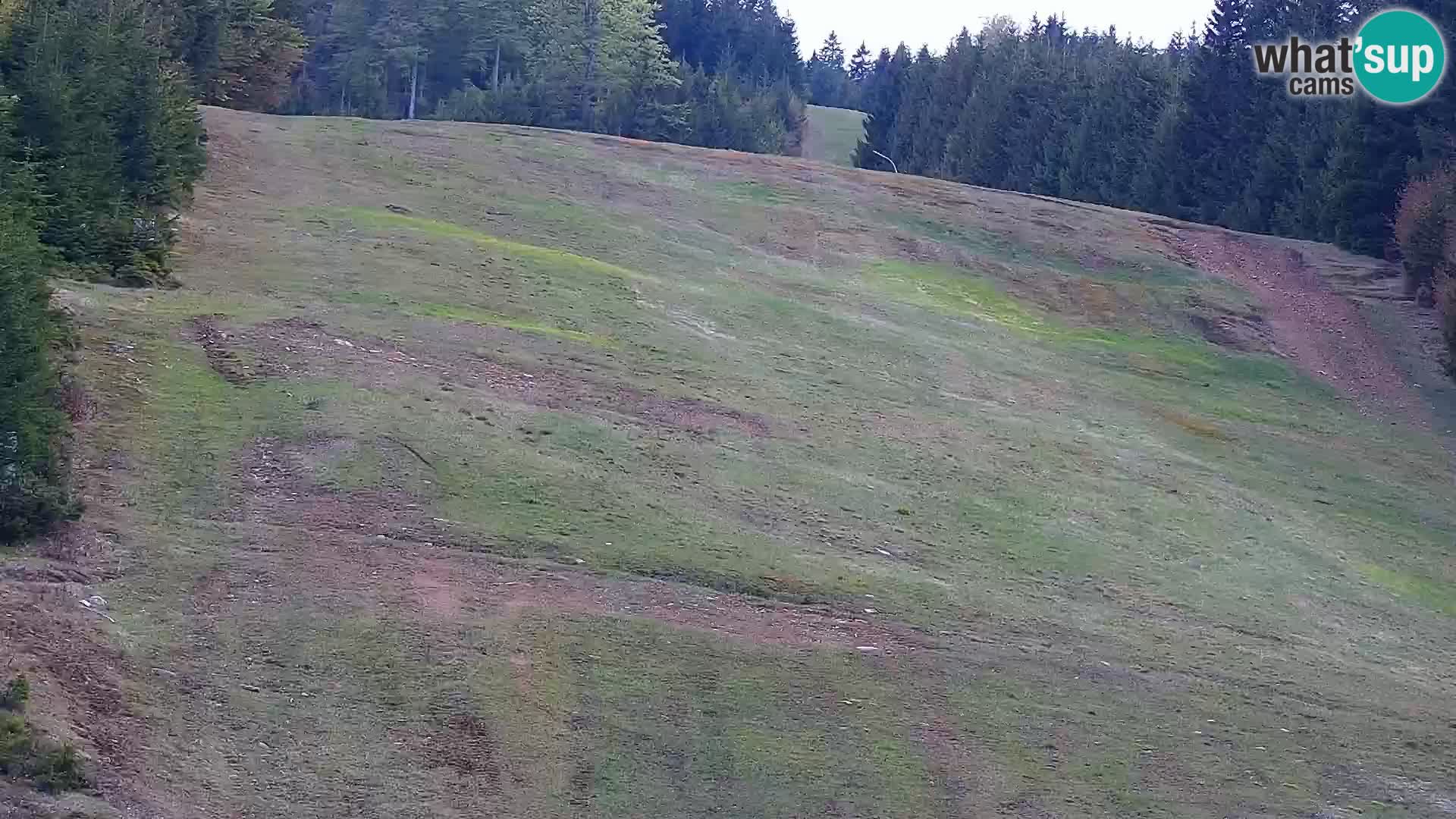 Live Rogla appartements Dandi – Jurgovo