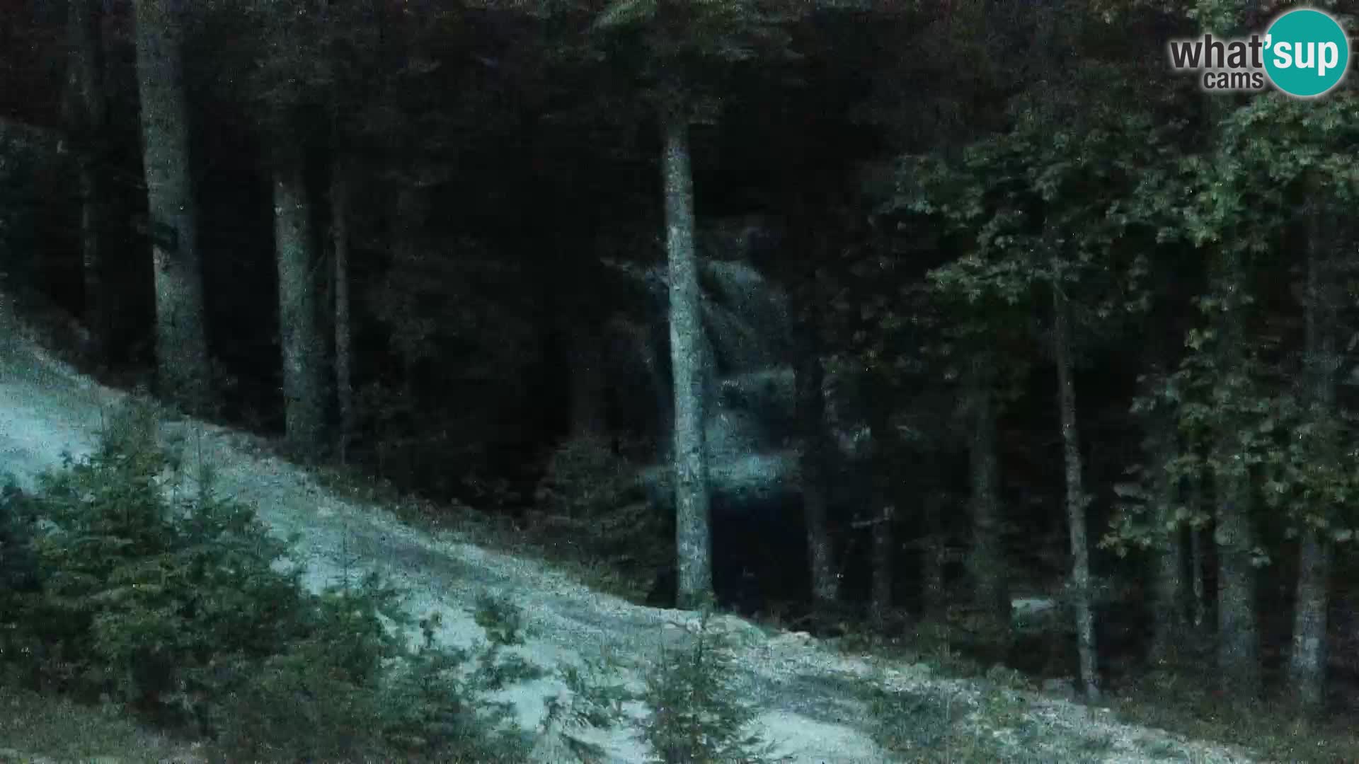 Livecam Rogla apartments Dandi – Jurgovo