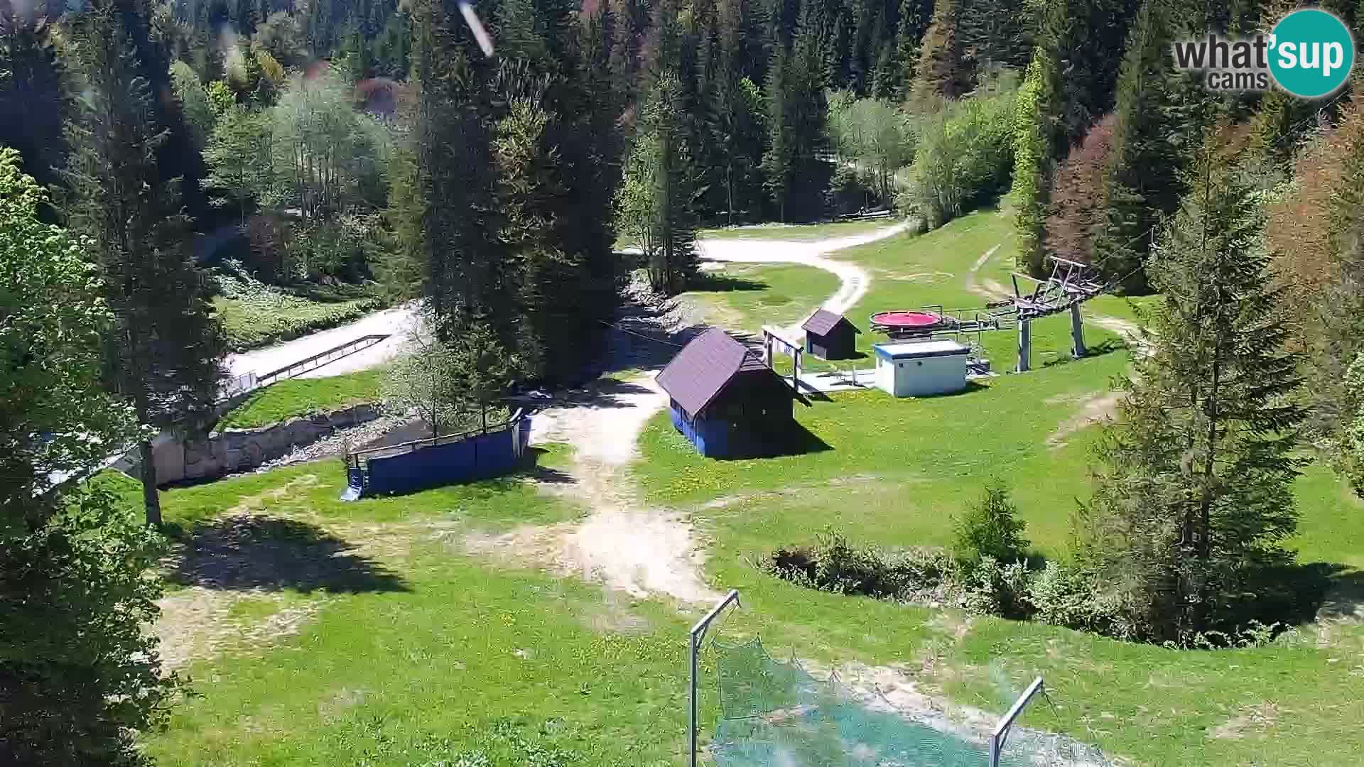 Live Rogla appartements Dandi – Jurgovo