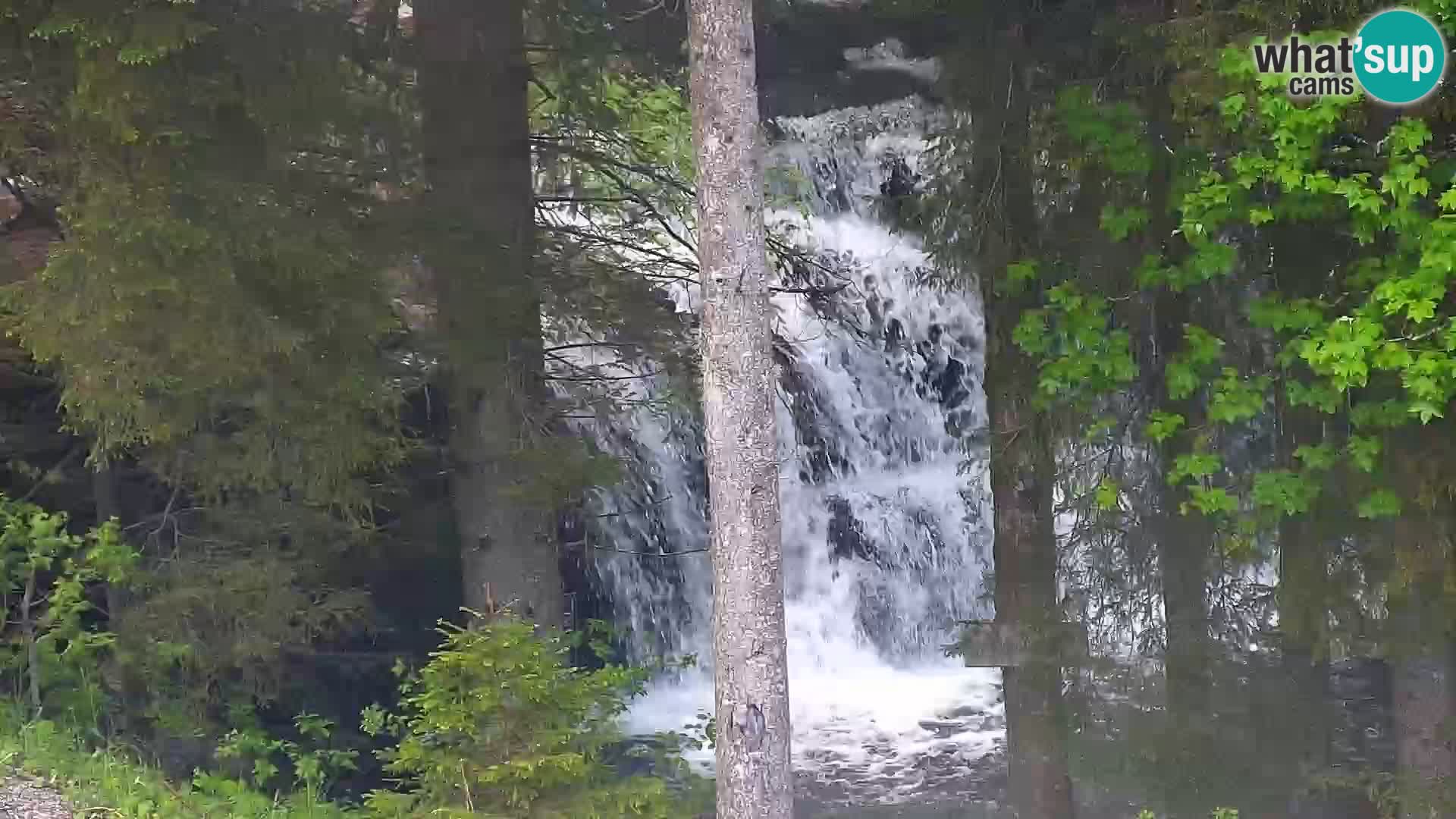 Webcam Rogla Wohnungen Dandi – Jurgovo