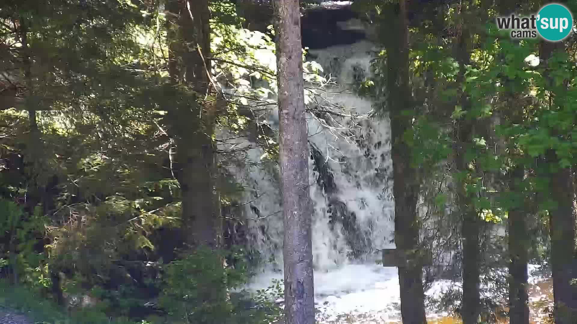 Webcam Rogla Wohnungen Dandi – Jurgovo