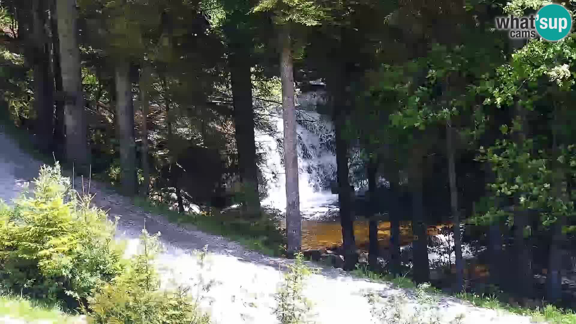 Camera en vivo Rogla appartamentos Dandi – Jurgovo