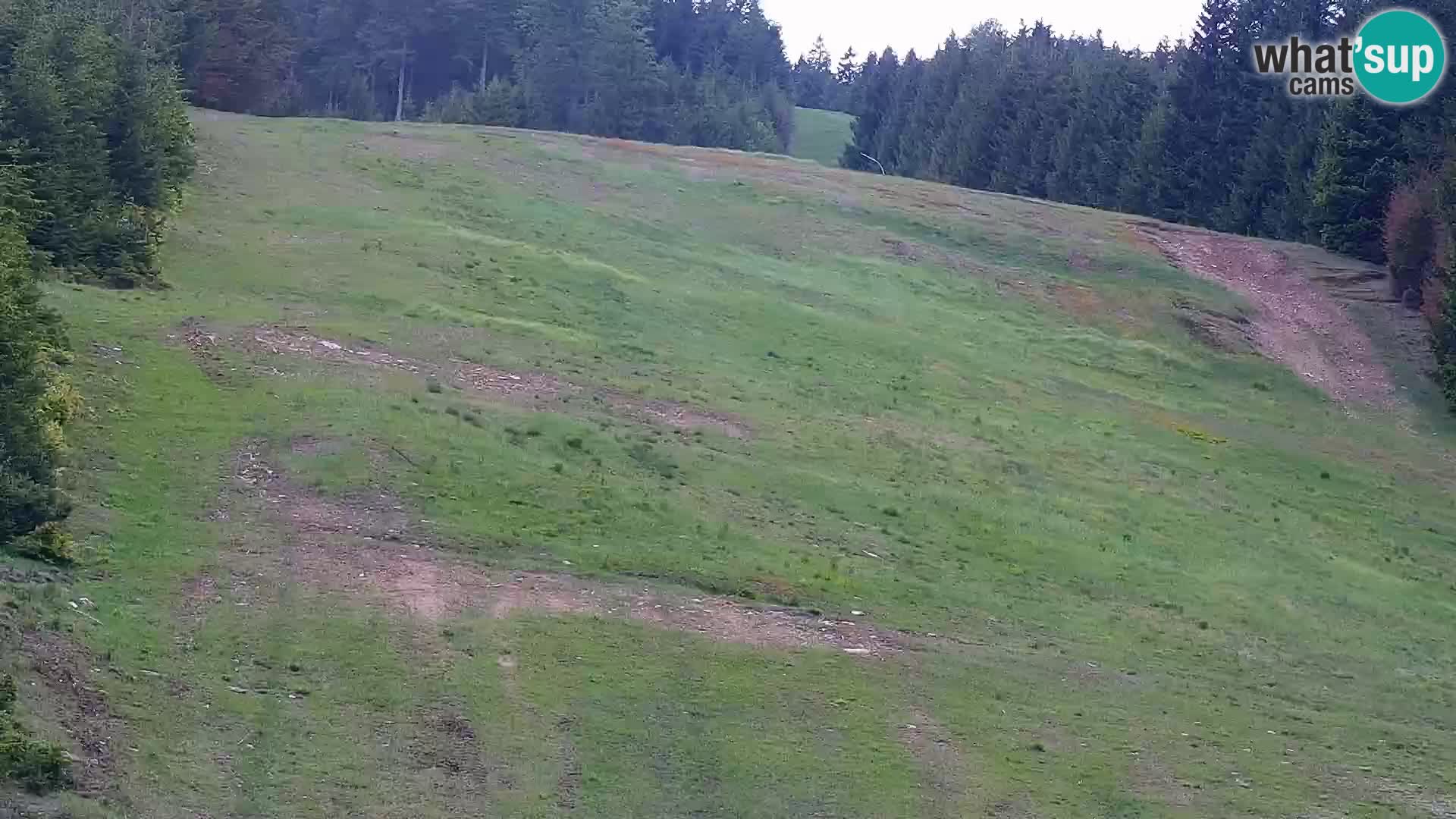 Spletna kamera Rogla apartmaji Dandi – Jurgovo