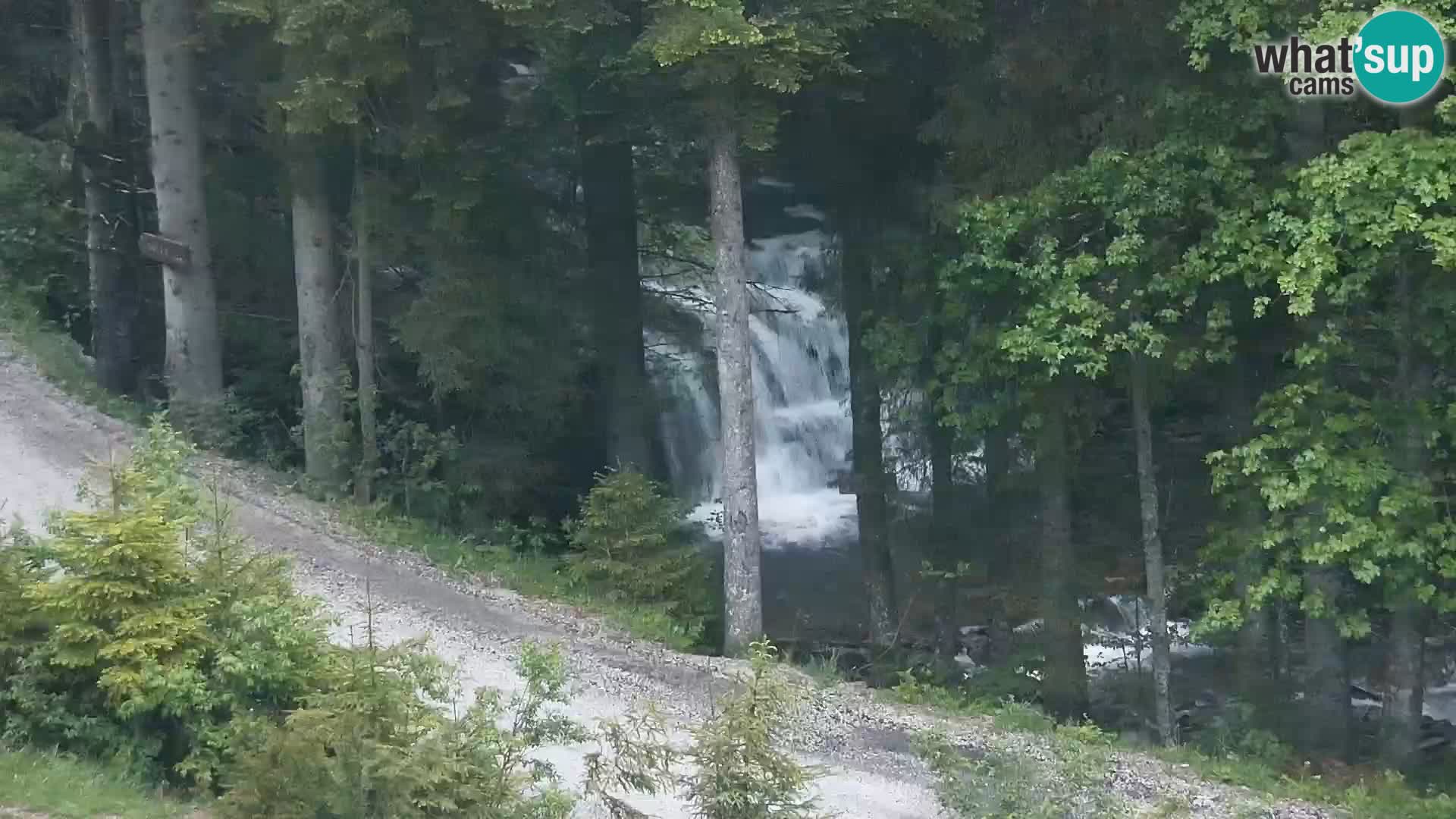 Camera en vivo Rogla appartamentos Dandi – Jurgovo