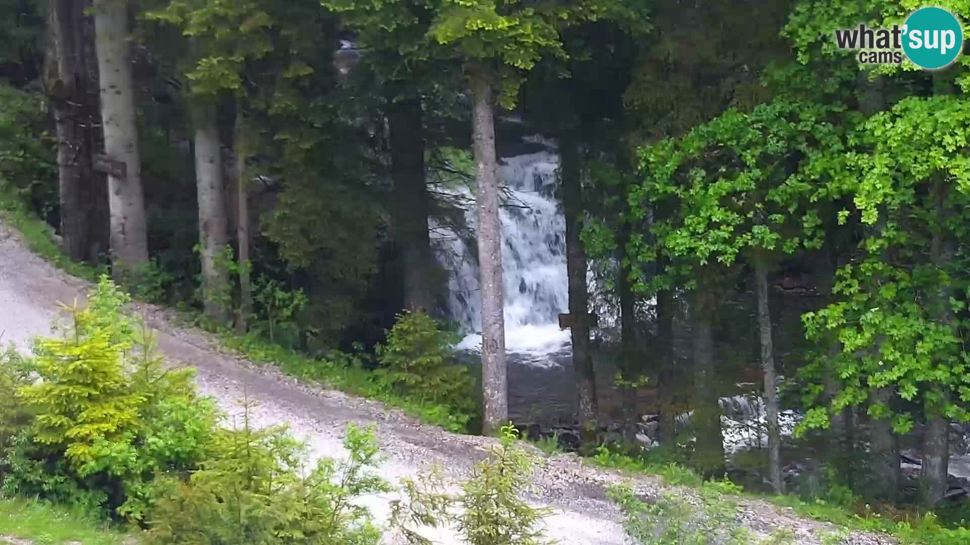 Webcam Rogla Wohnungen Dandi – Jurgovo