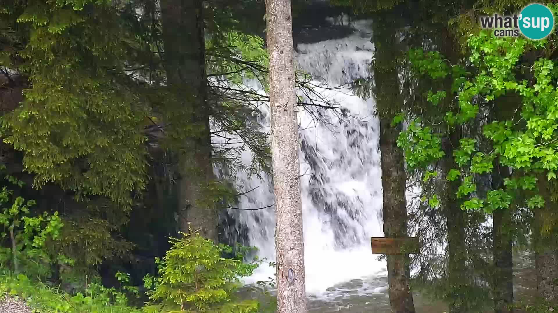 Live Rogla appartements Dandi – Jurgovo