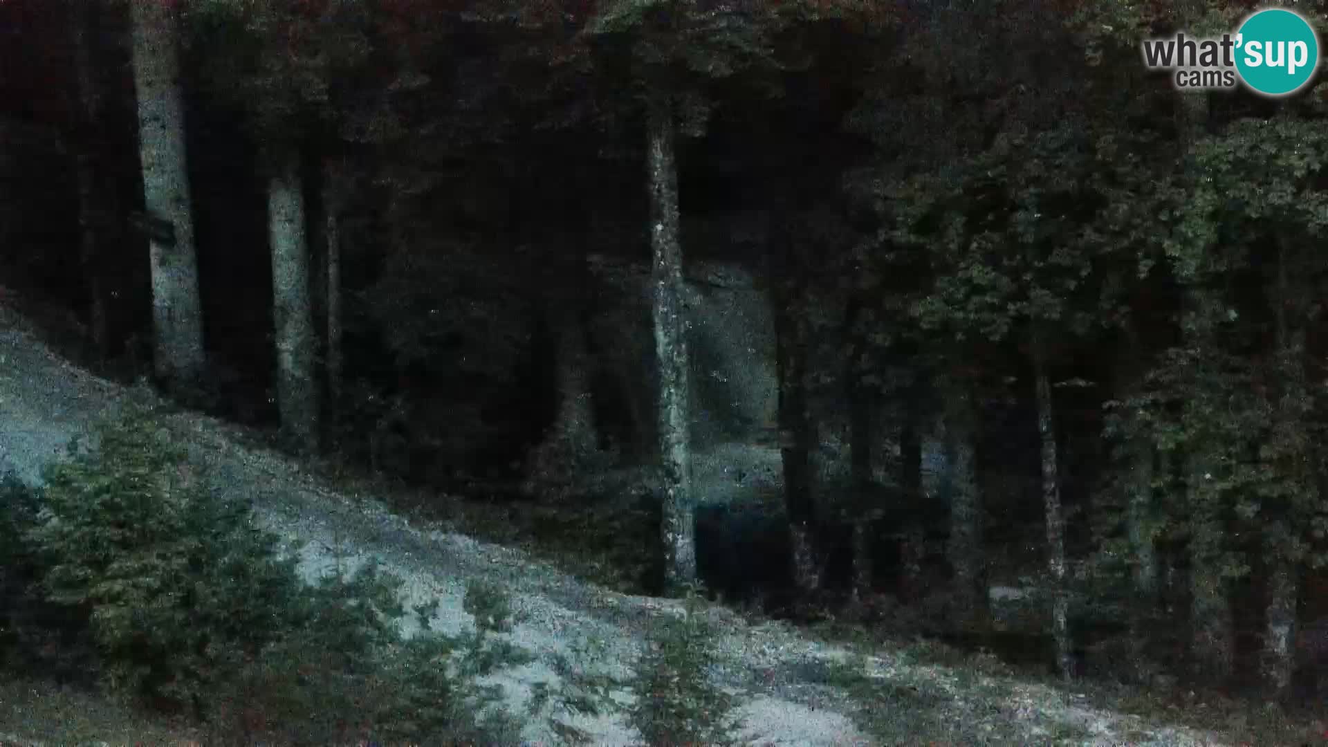 Webcam Rogla Wohnungen Dandi – Jurgovo