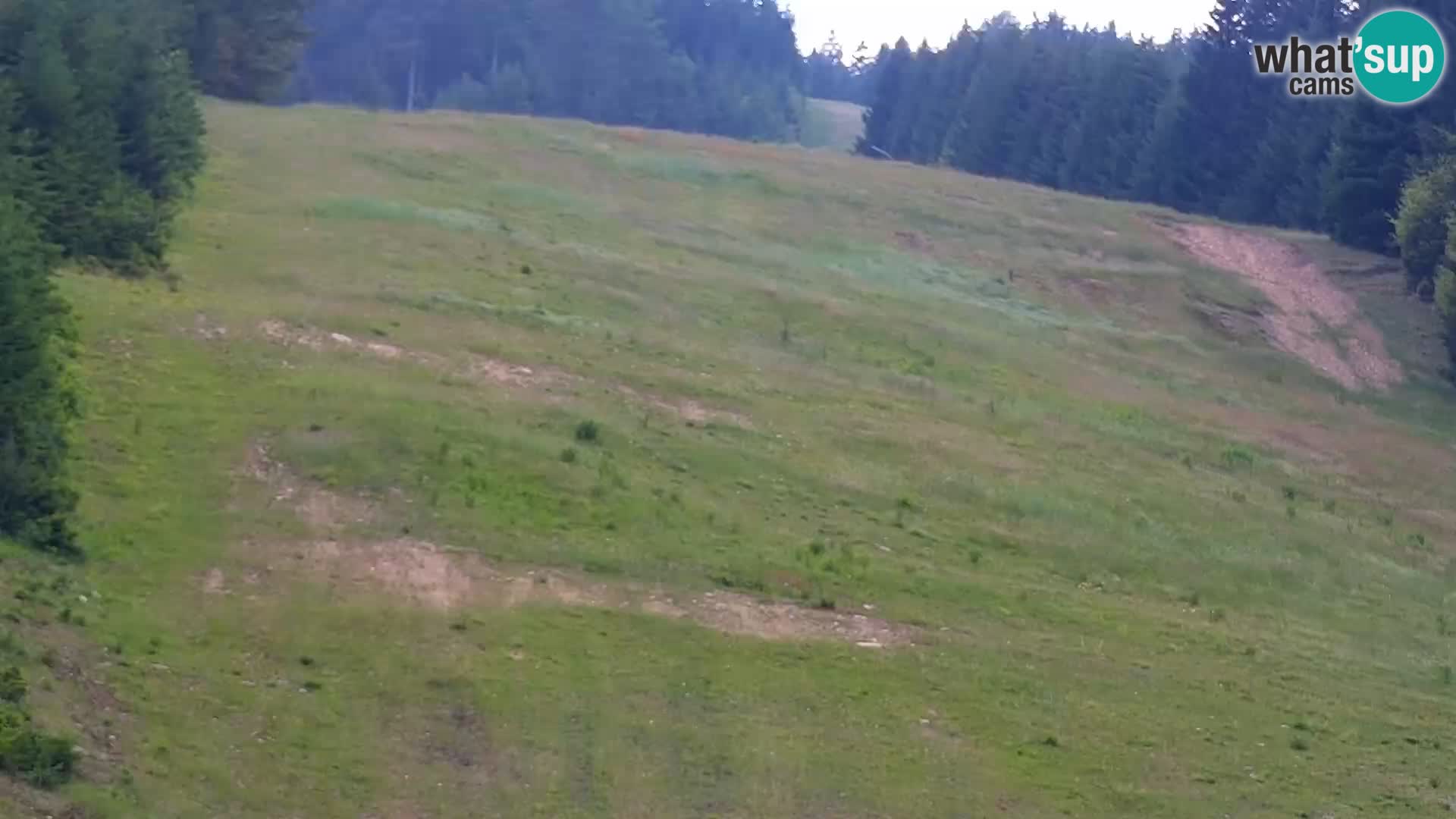 Spletna kamera Rogla apartmaji Dandi – Jurgovo