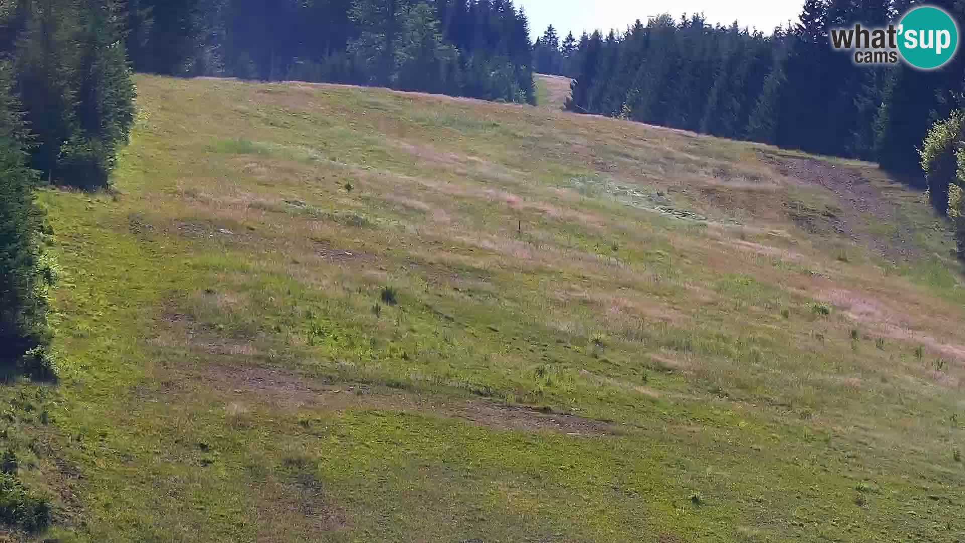 Live Rogla appartements Dandi – Jurgovo
