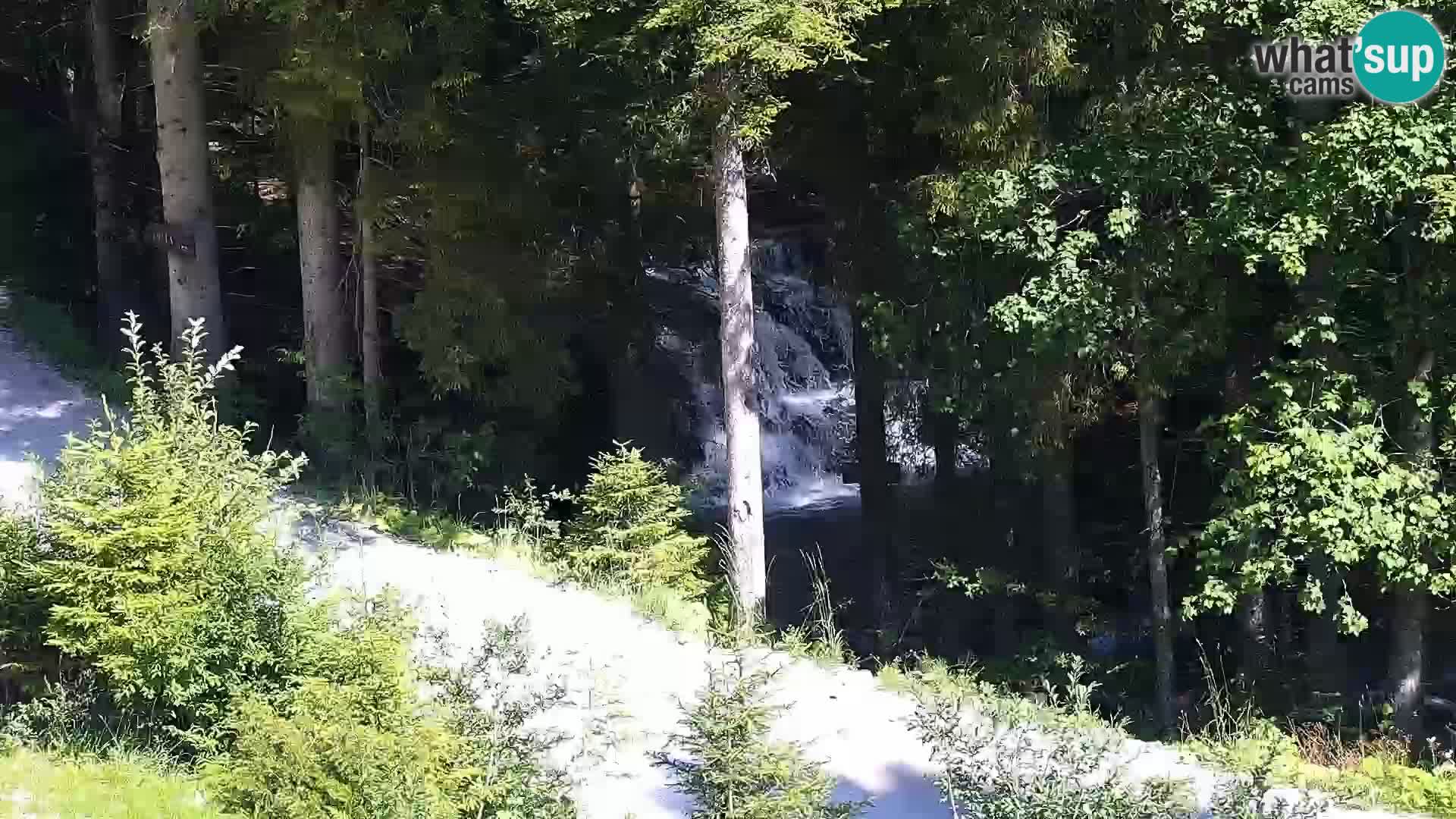 Live Rogla appartements Dandi – Jurgovo