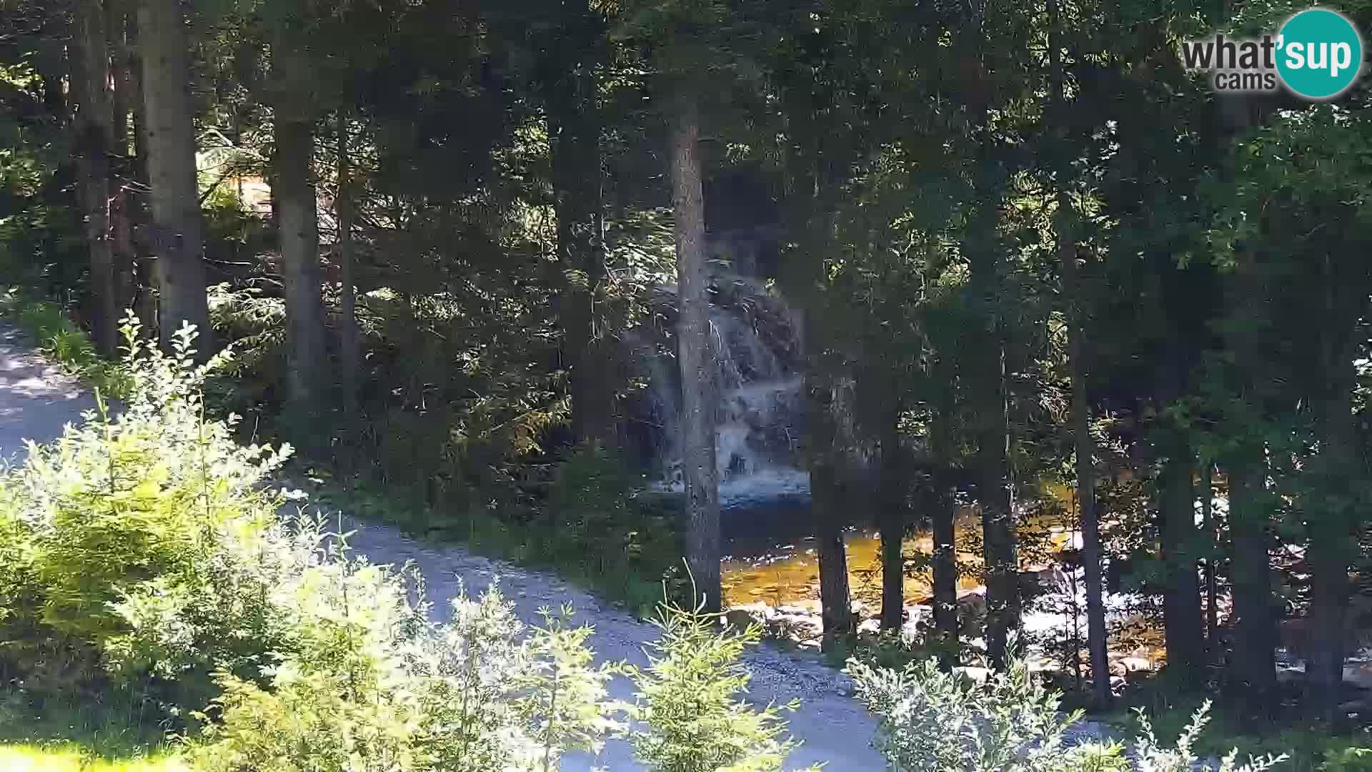 Camera en vivo Rogla appartamentos Dandi – Jurgovo