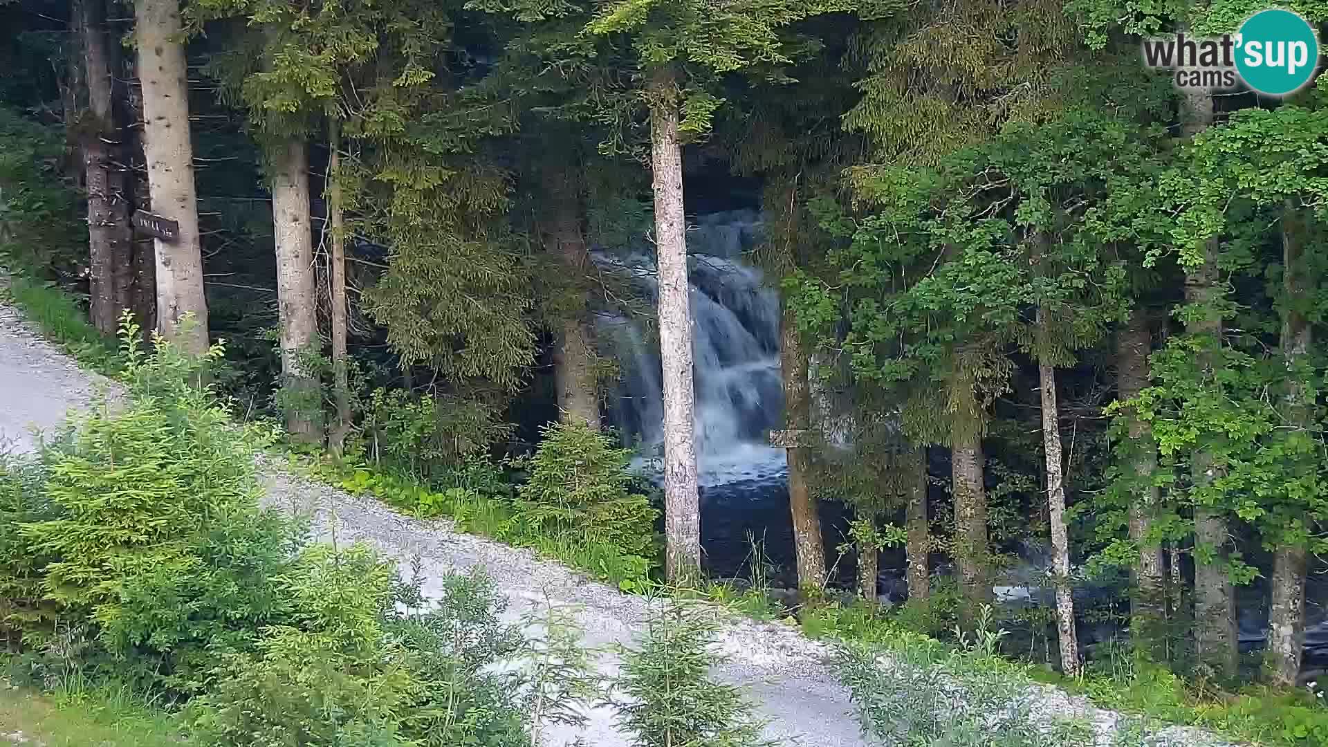 Webcam Rogla Wohnungen Dandi – Jurgovo