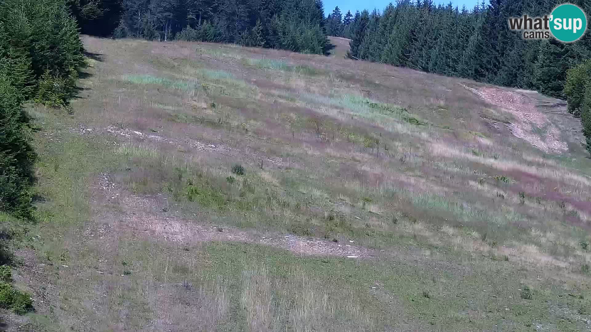 Live Rogla appartements Dandi – Jurgovo