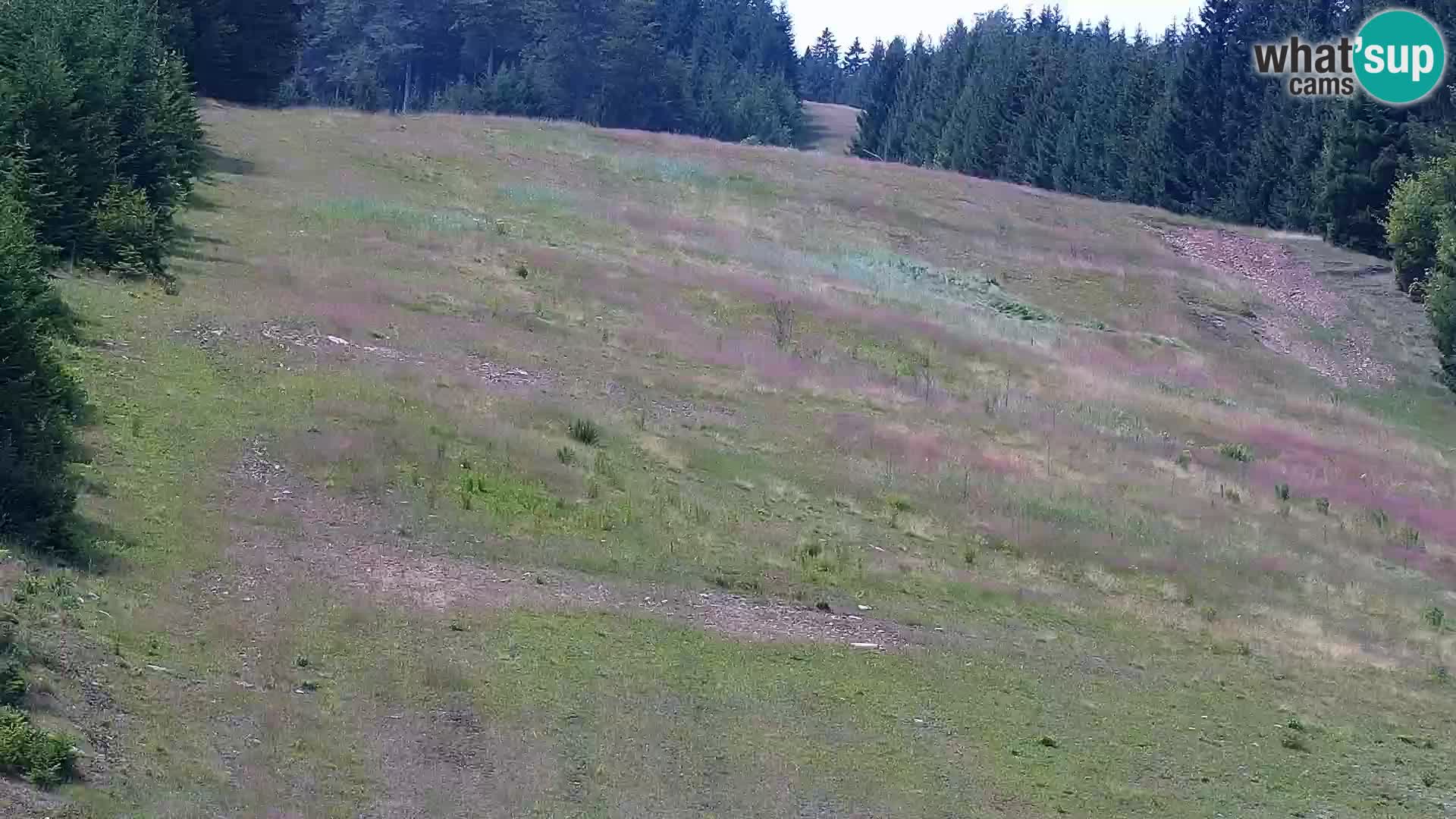 Spletna kamera Rogla apartmaji Dandi – Jurgovo
