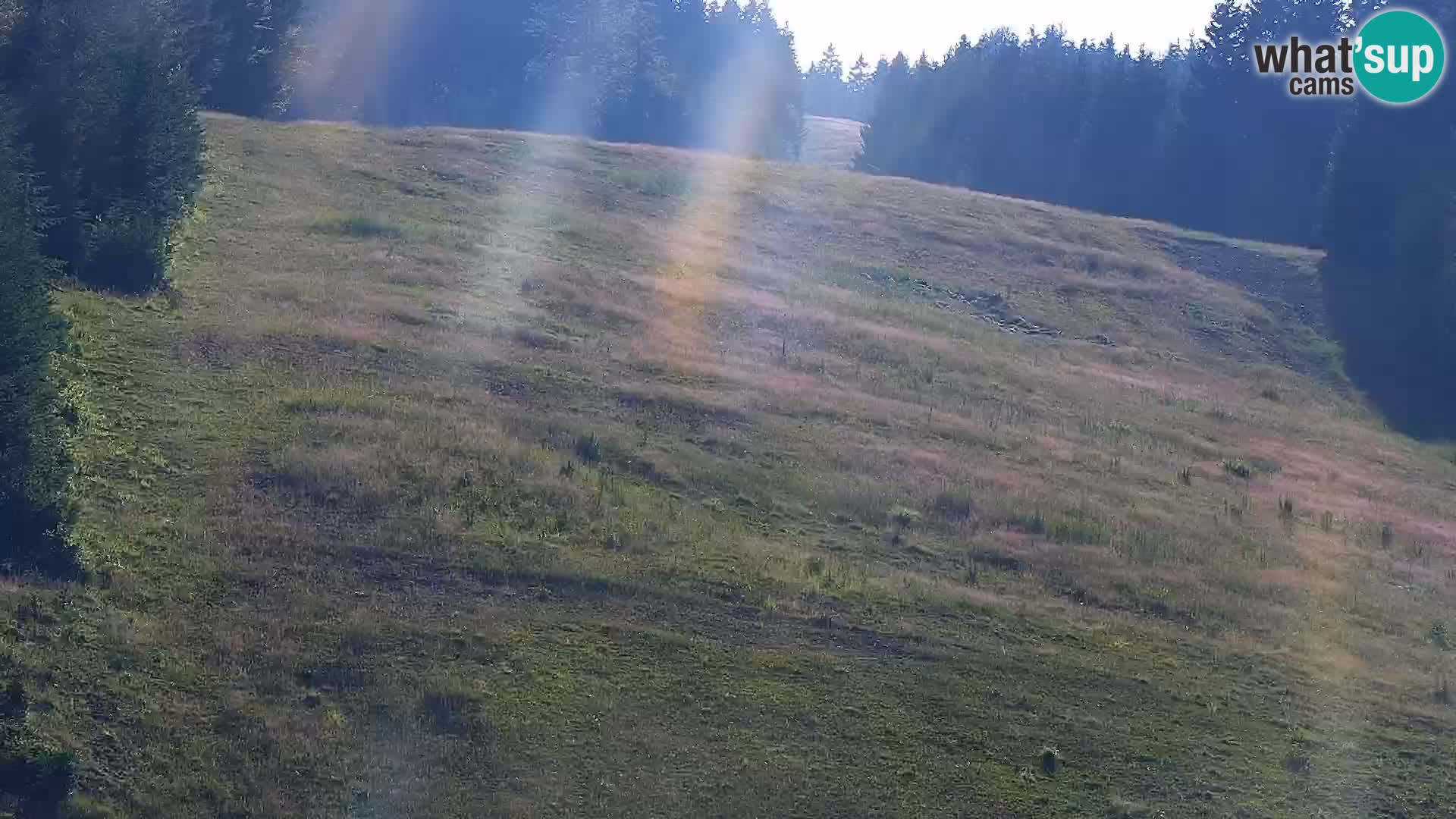 Livecam Rogla apartments Dandi – Jurgovo