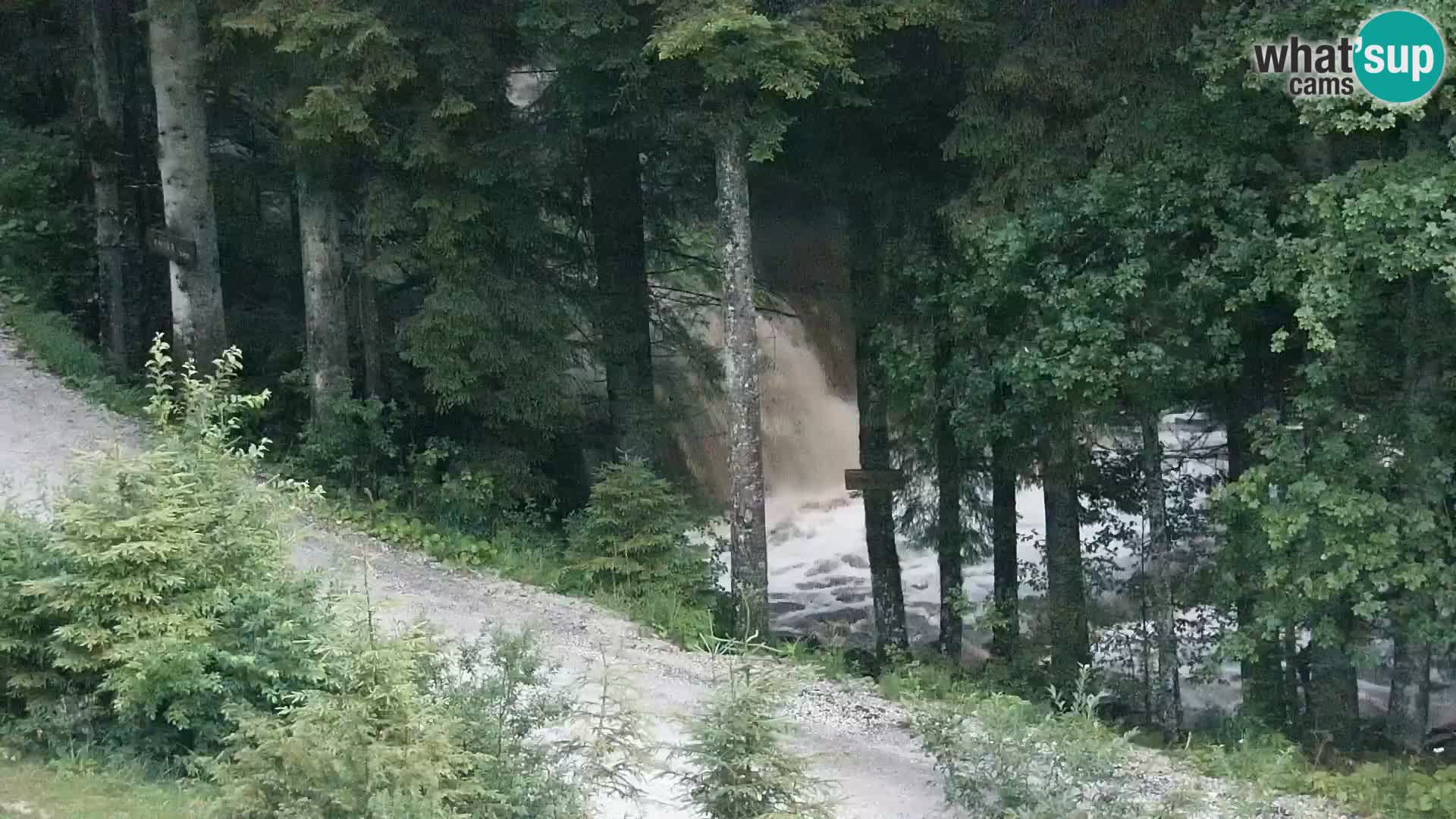 Livecam Rogla apartments Dandi – Jurgovo