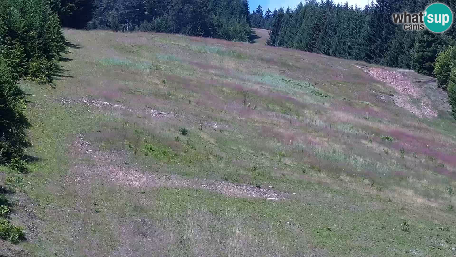 Live webcam Rogla appartamenti Dandi – Jurgovo