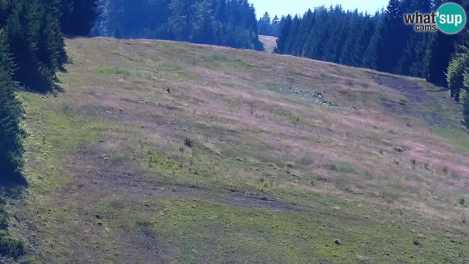Livecam Rogla apartments Dandi – Jurgovo