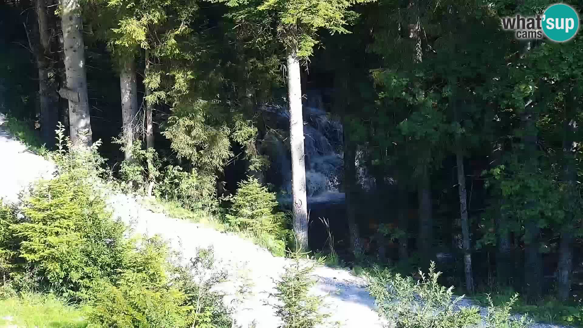 Livecam Rogla apartments Dandi – Jurgovo