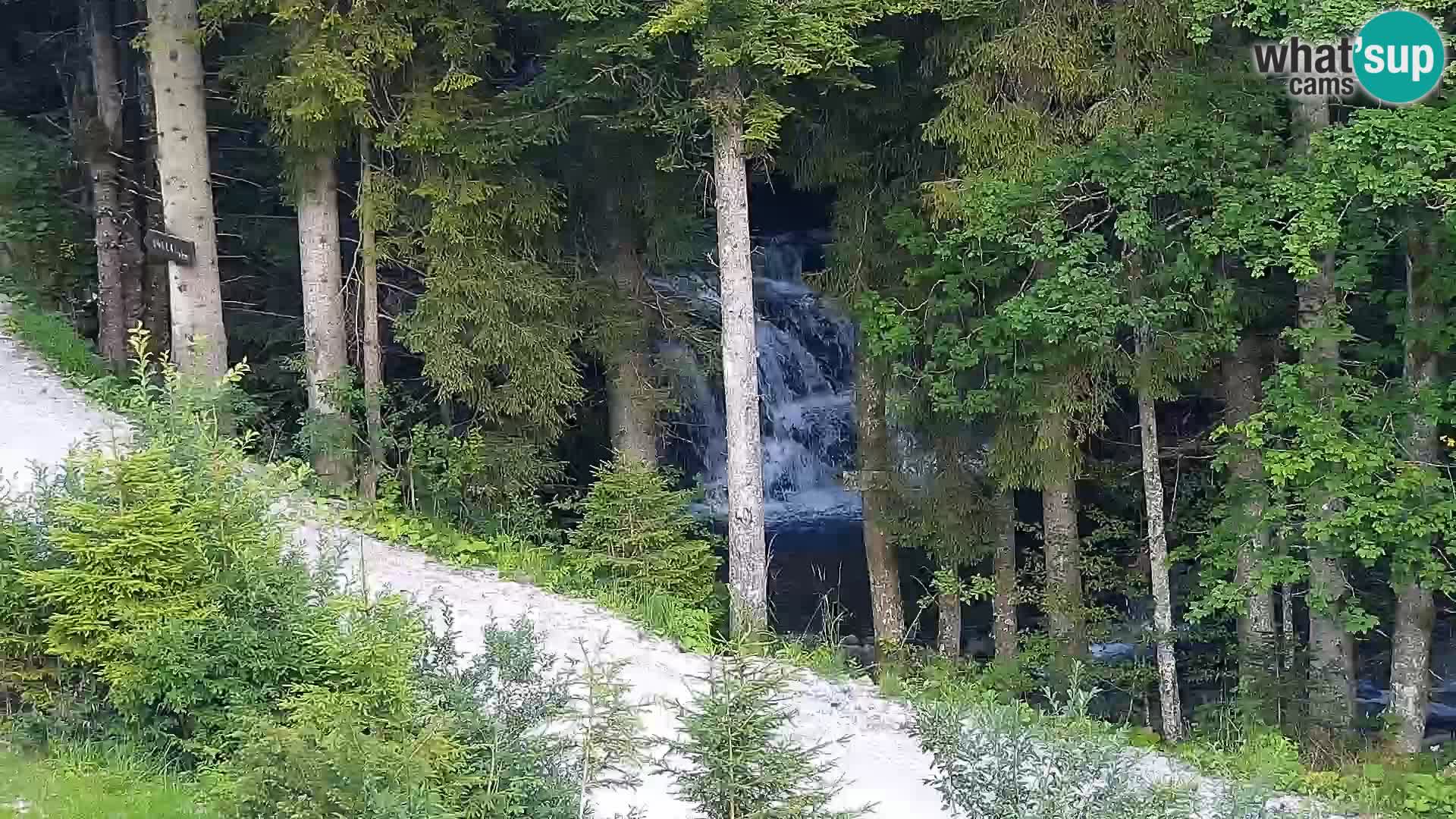 Webcam Rogla Wohnungen Dandi – Jurgovo