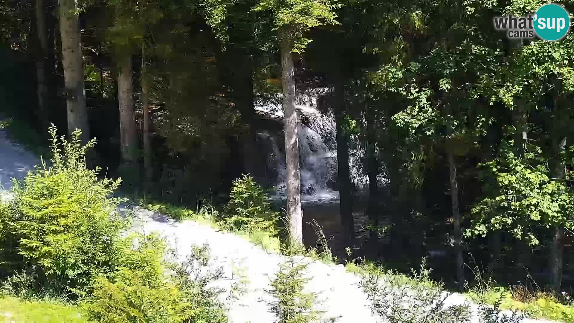 Webcam Rogla Wohnungen Dandi – Jurgovo