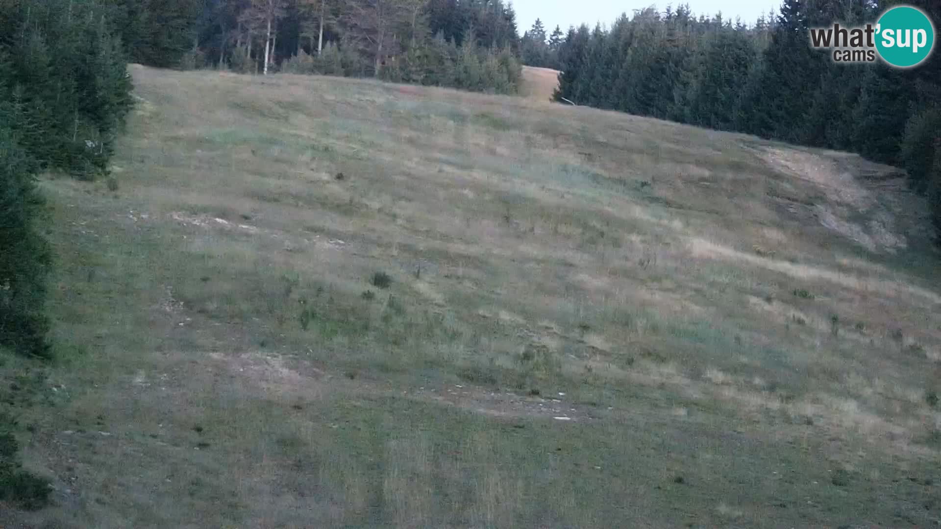 Live webcam Rogla appartamenti Dandi – Jurgovo