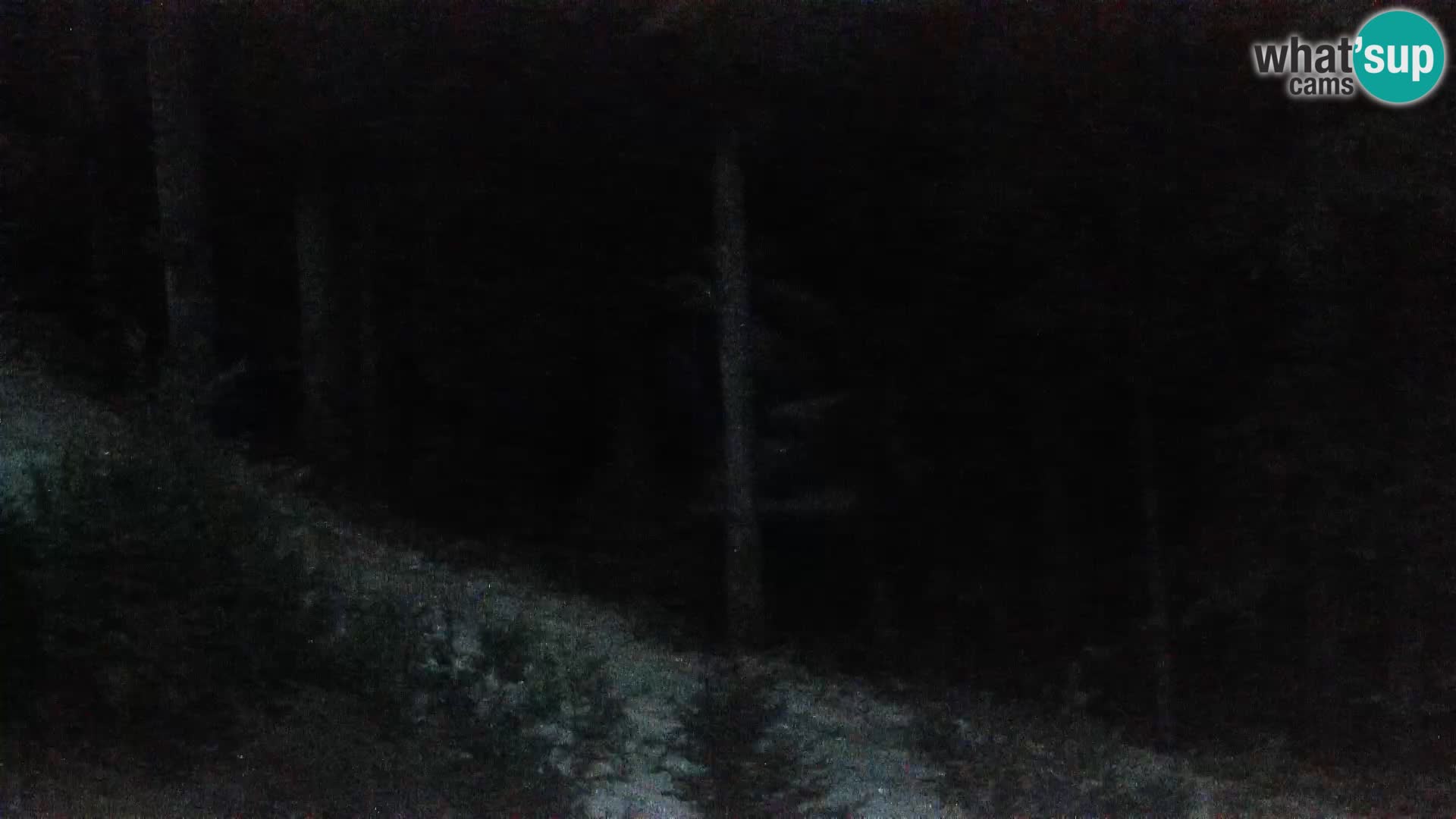 Live webcam Rogla appartamenti Dandi – Jurgovo