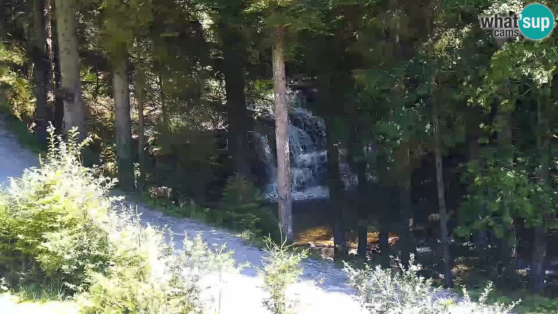 Camera en vivo Rogla appartamentos Dandi – Jurgovo