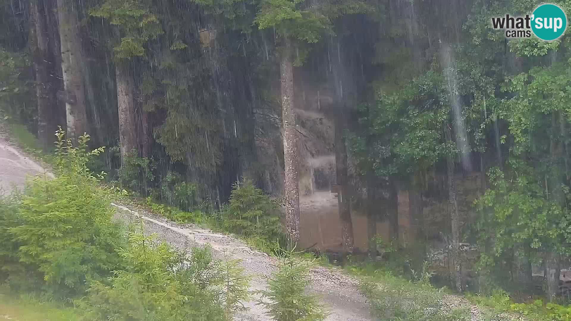 Live webcam Rogla appartamenti Dandi – Jurgovo