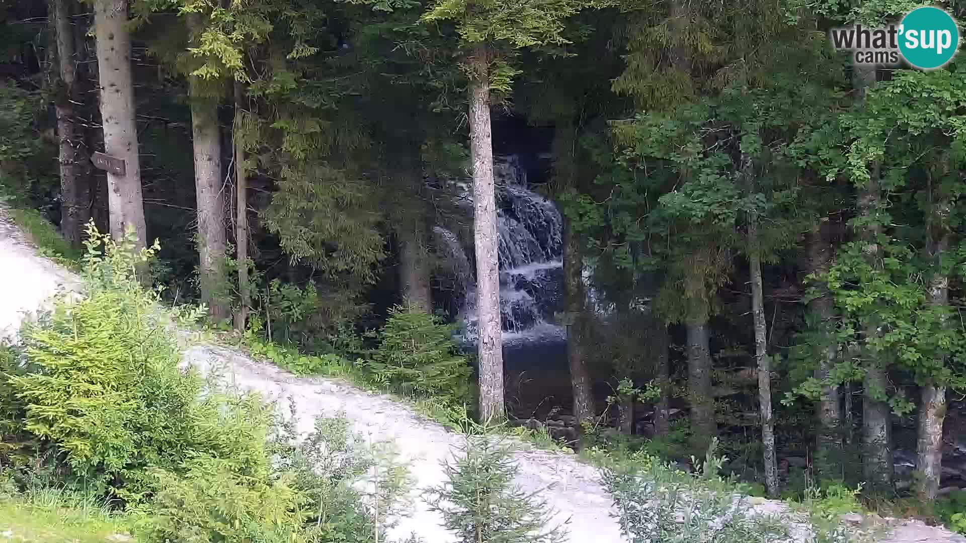 Live Rogla appartements Dandi – Jurgovo