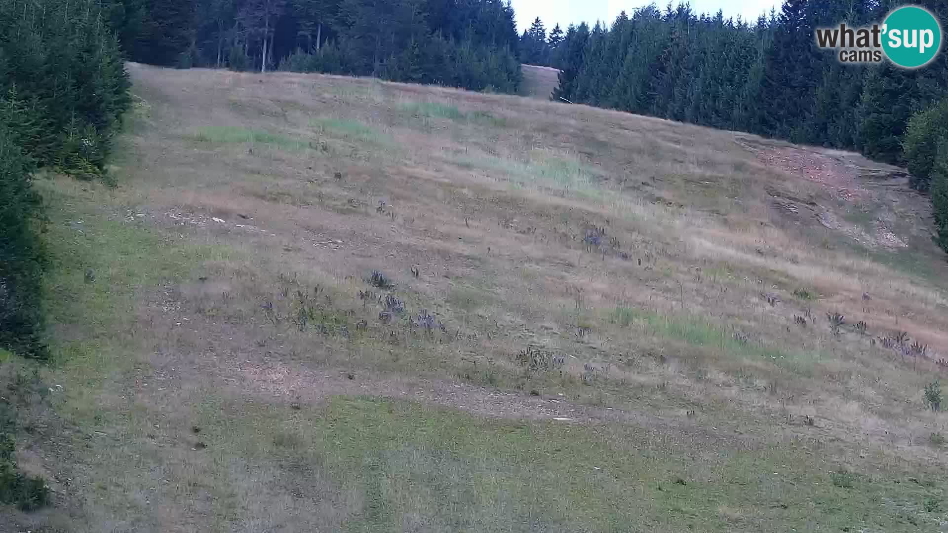 Live Rogla appartements Dandi – Jurgovo