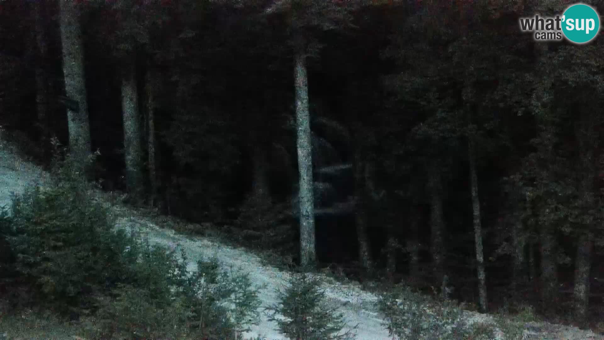 Webcam Rogla Wohnungen Dandi – Jurgovo