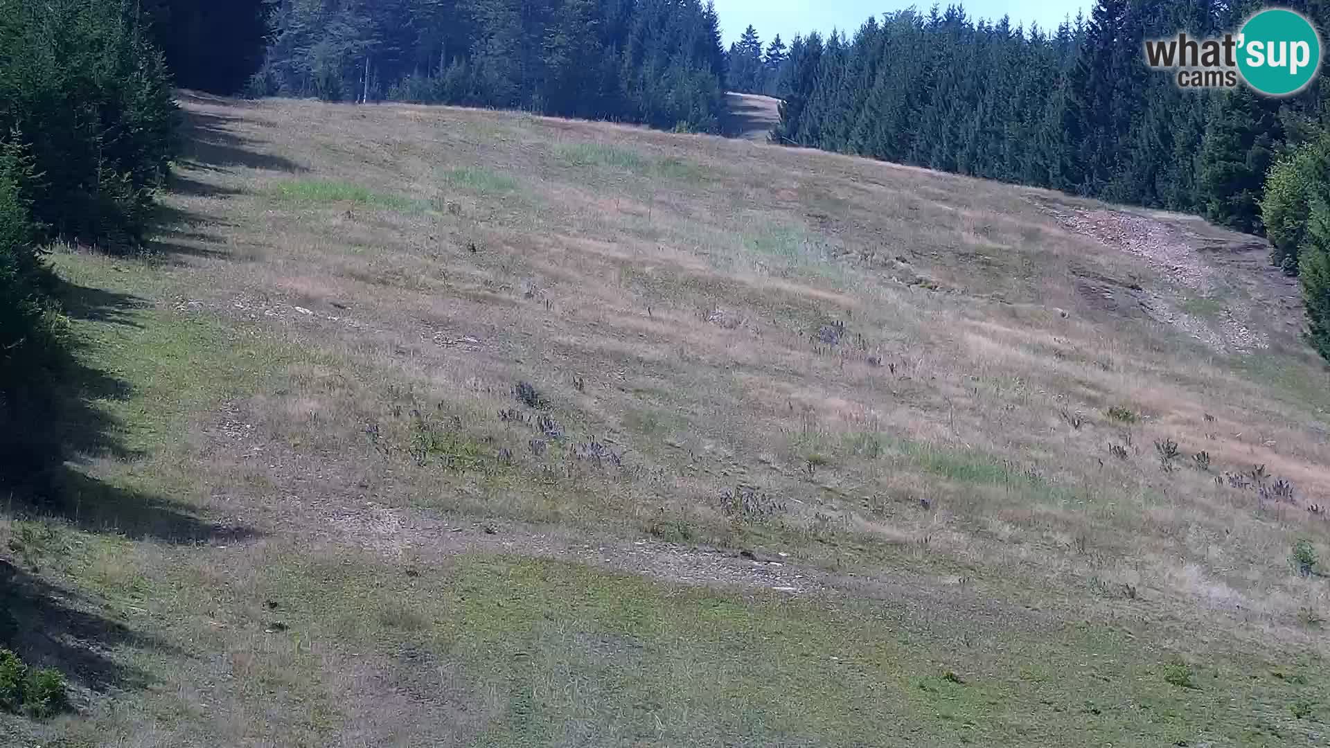 Web kamera Rogla apartmani Dandi – Jurgovo