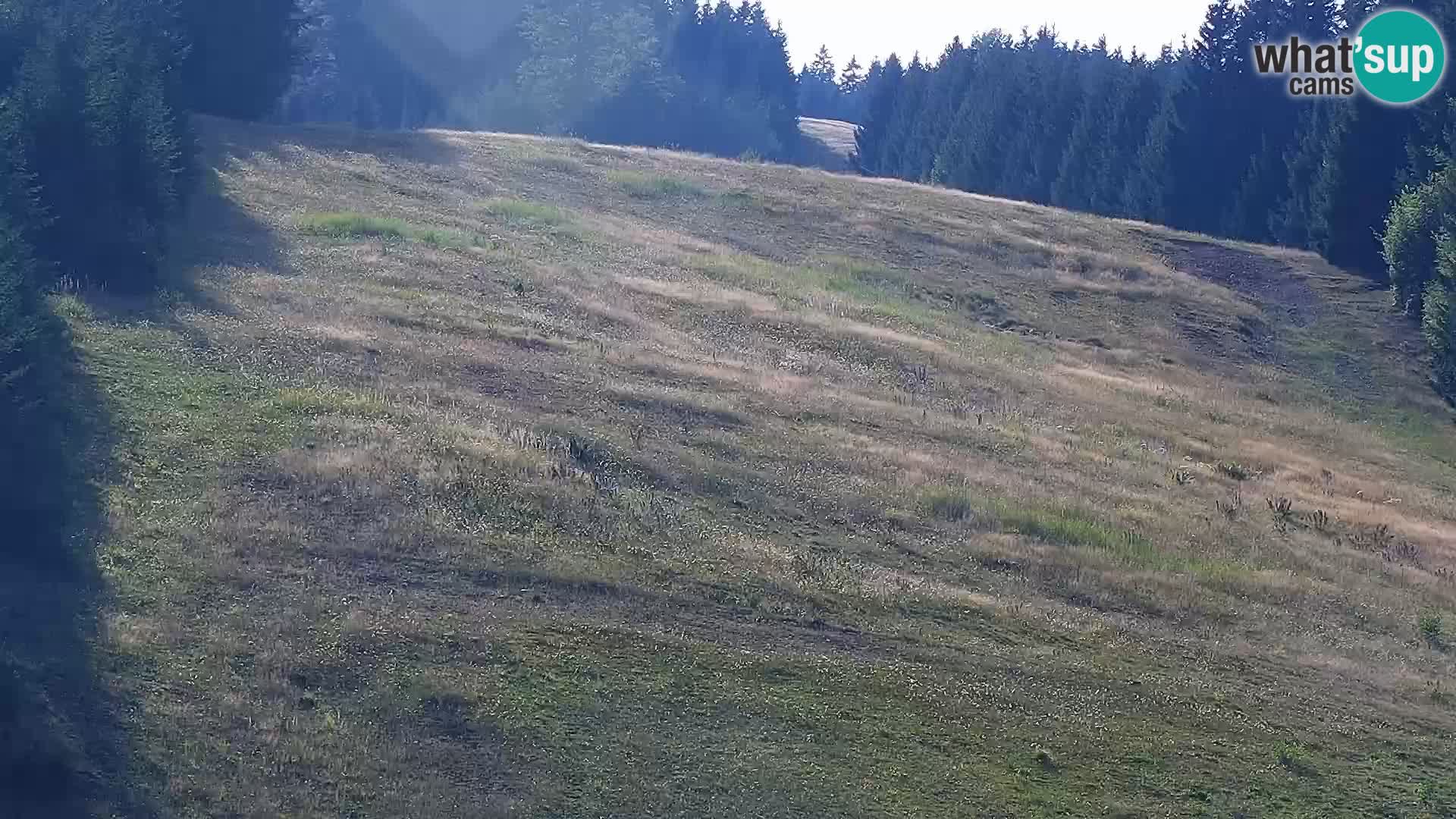 Webcam Rogla Wohnungen Dandi – Jurgovo